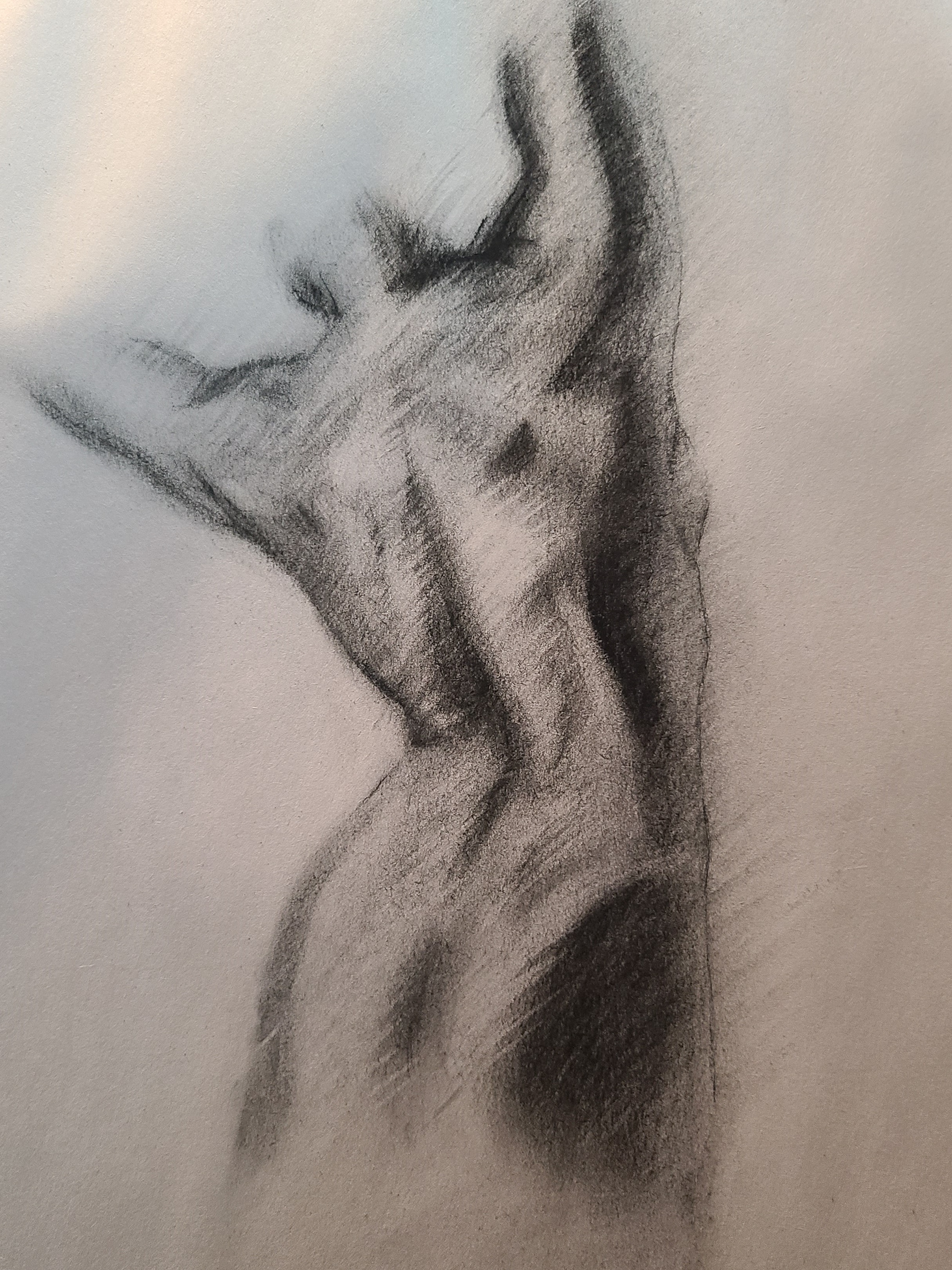 Human Back Life Drawing