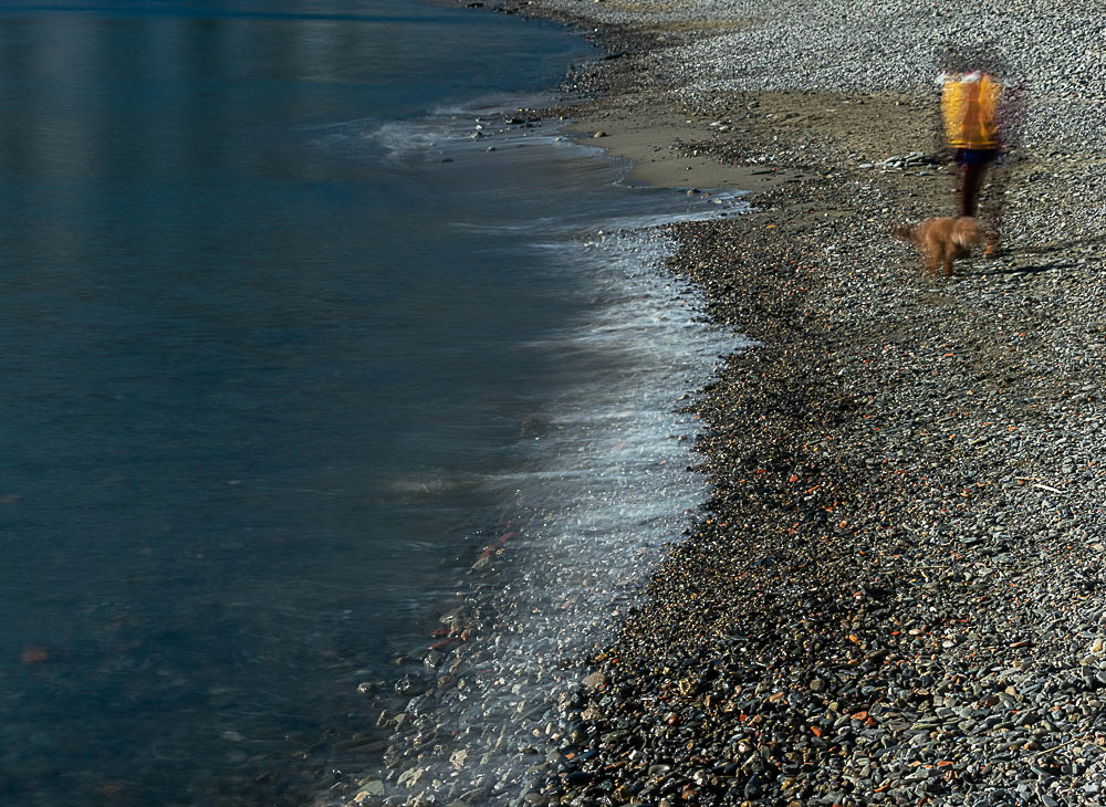 Walking the dog