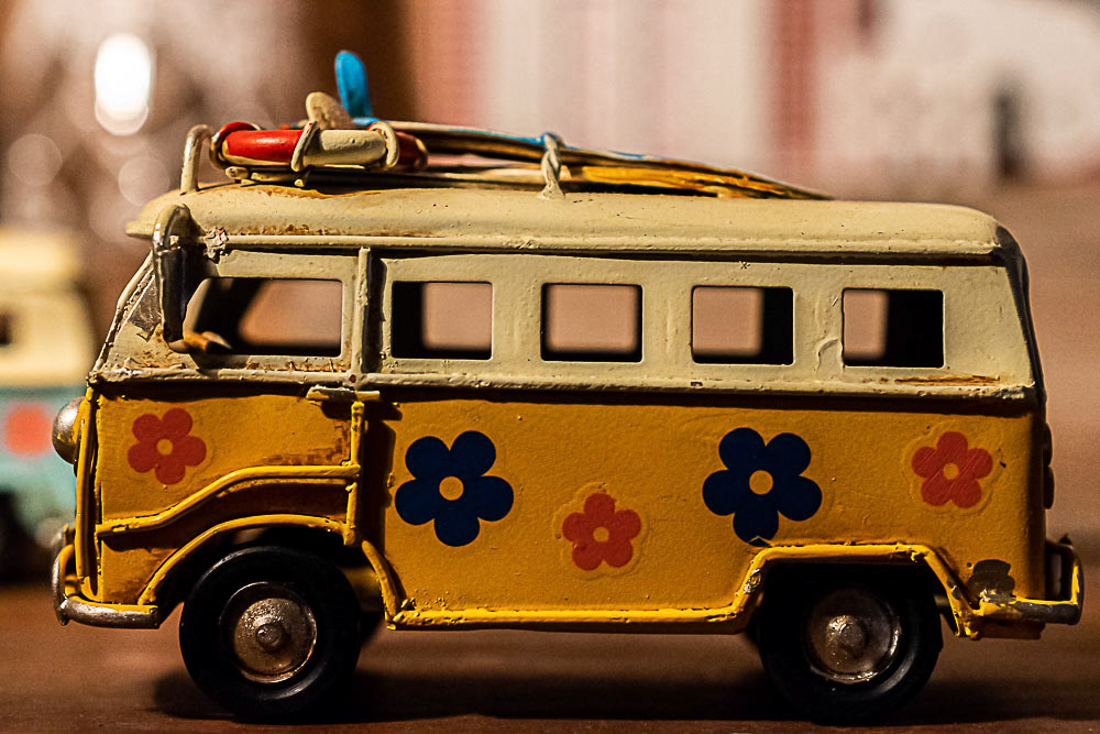 It's a zoo out there