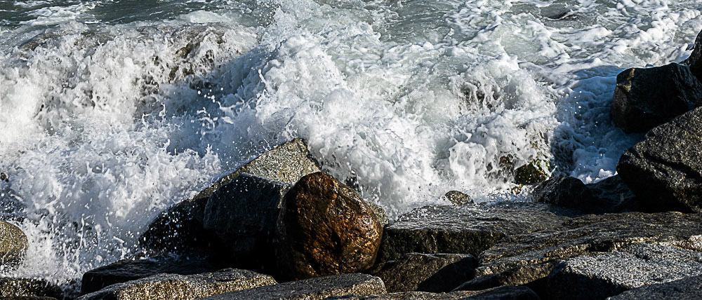 What the waves bring