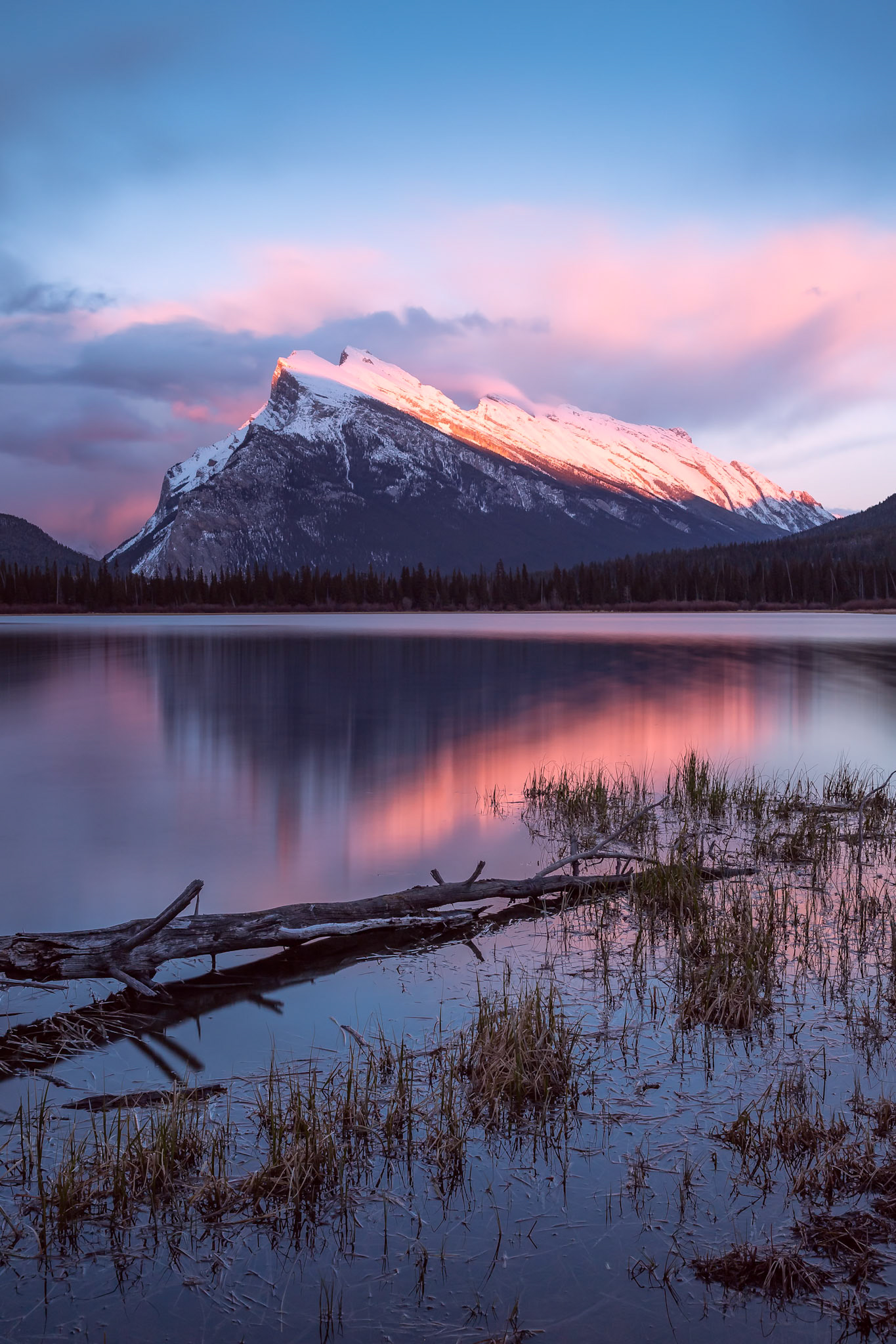 A spectacular pink sunset at Vermilion Lakes in Banff National Park, Alberta.