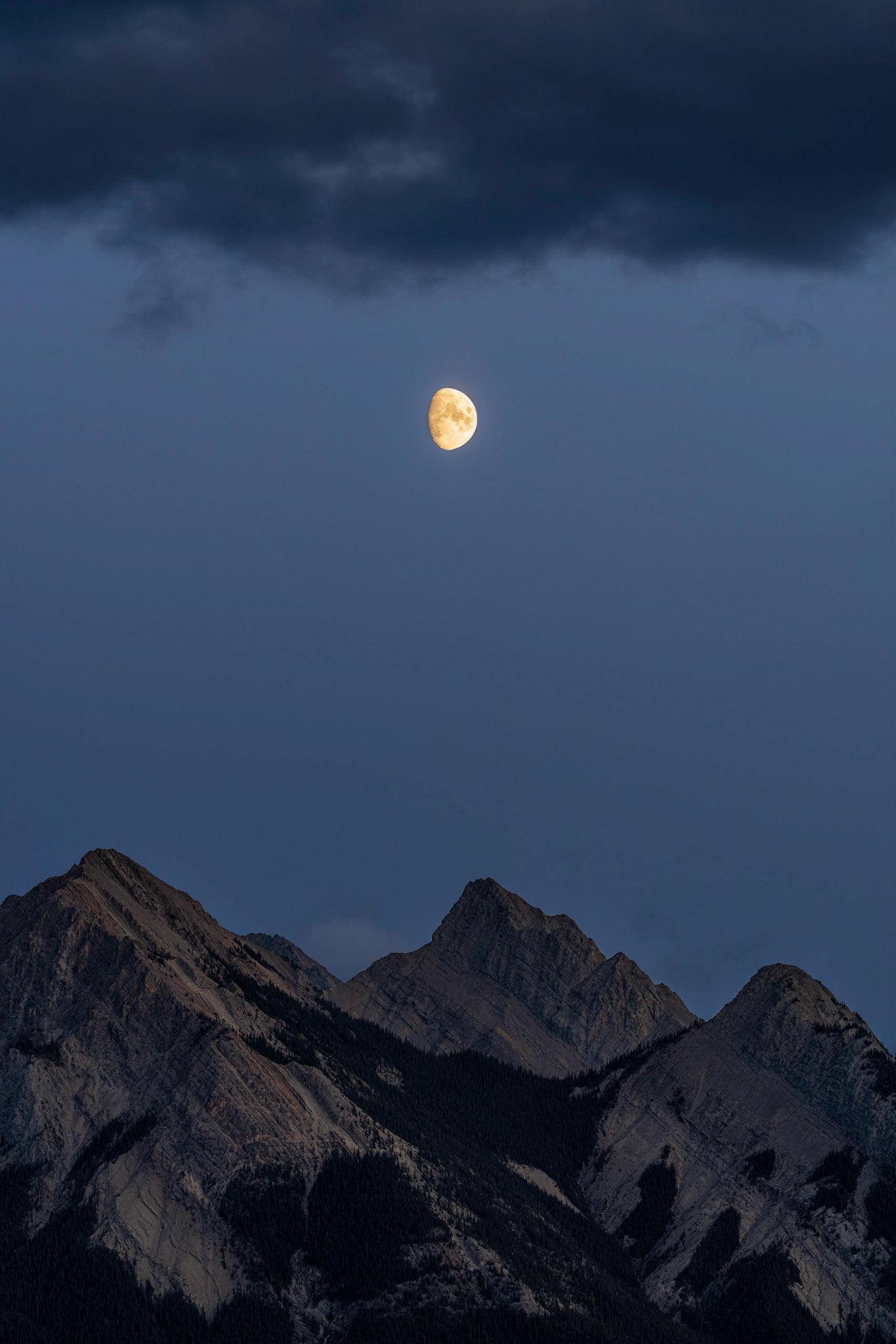 The autumn moon casts soft light on the peaks of the Canadian Rockies in Clearwater County during blue hour.