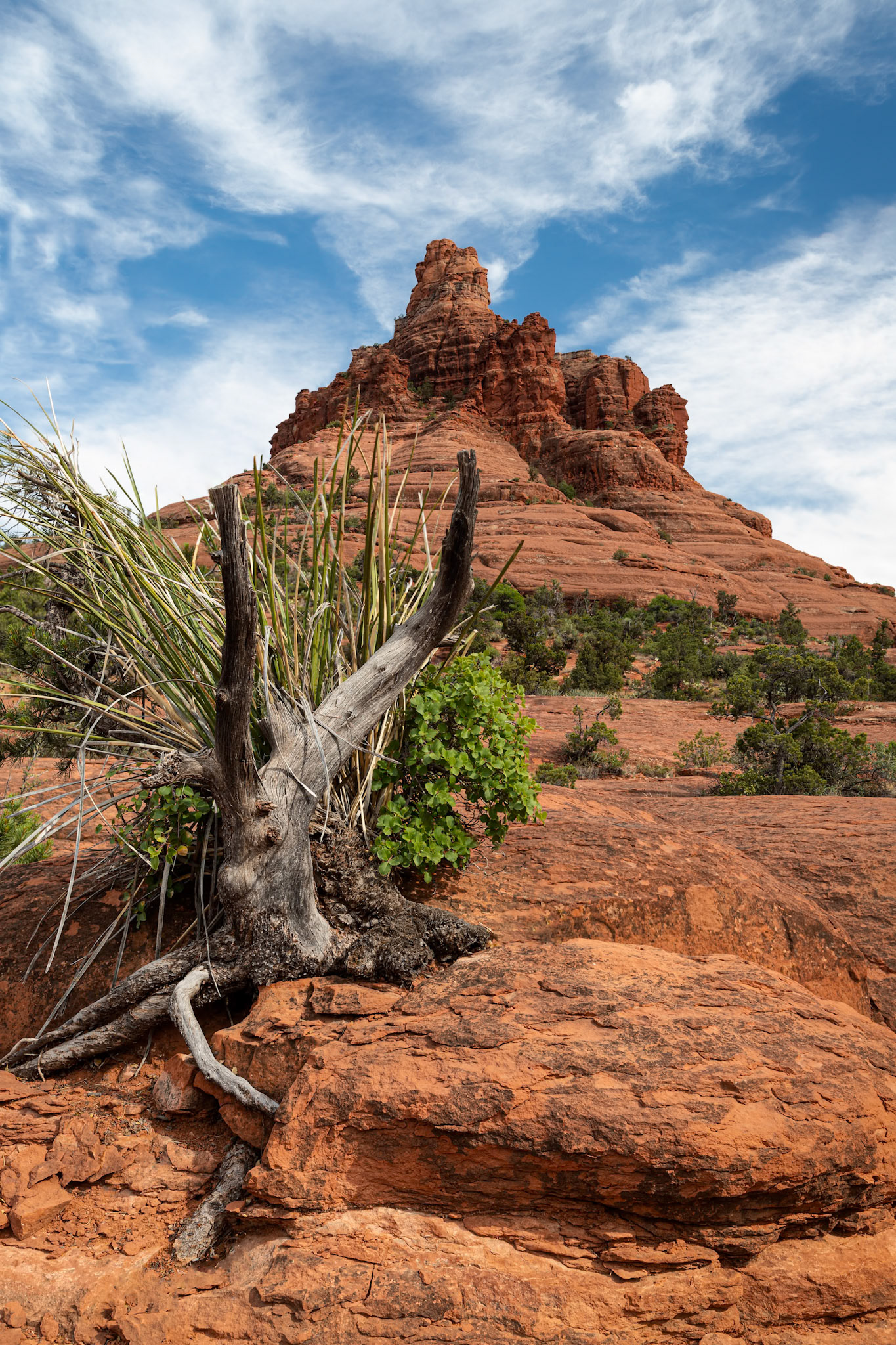 Bell Rock looming large in Sedona, Arizona.