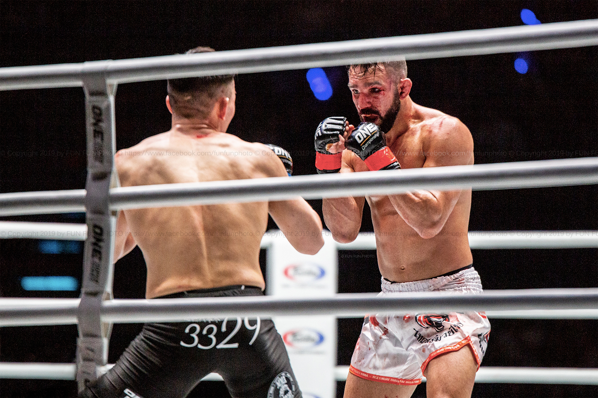 One Championship 2019