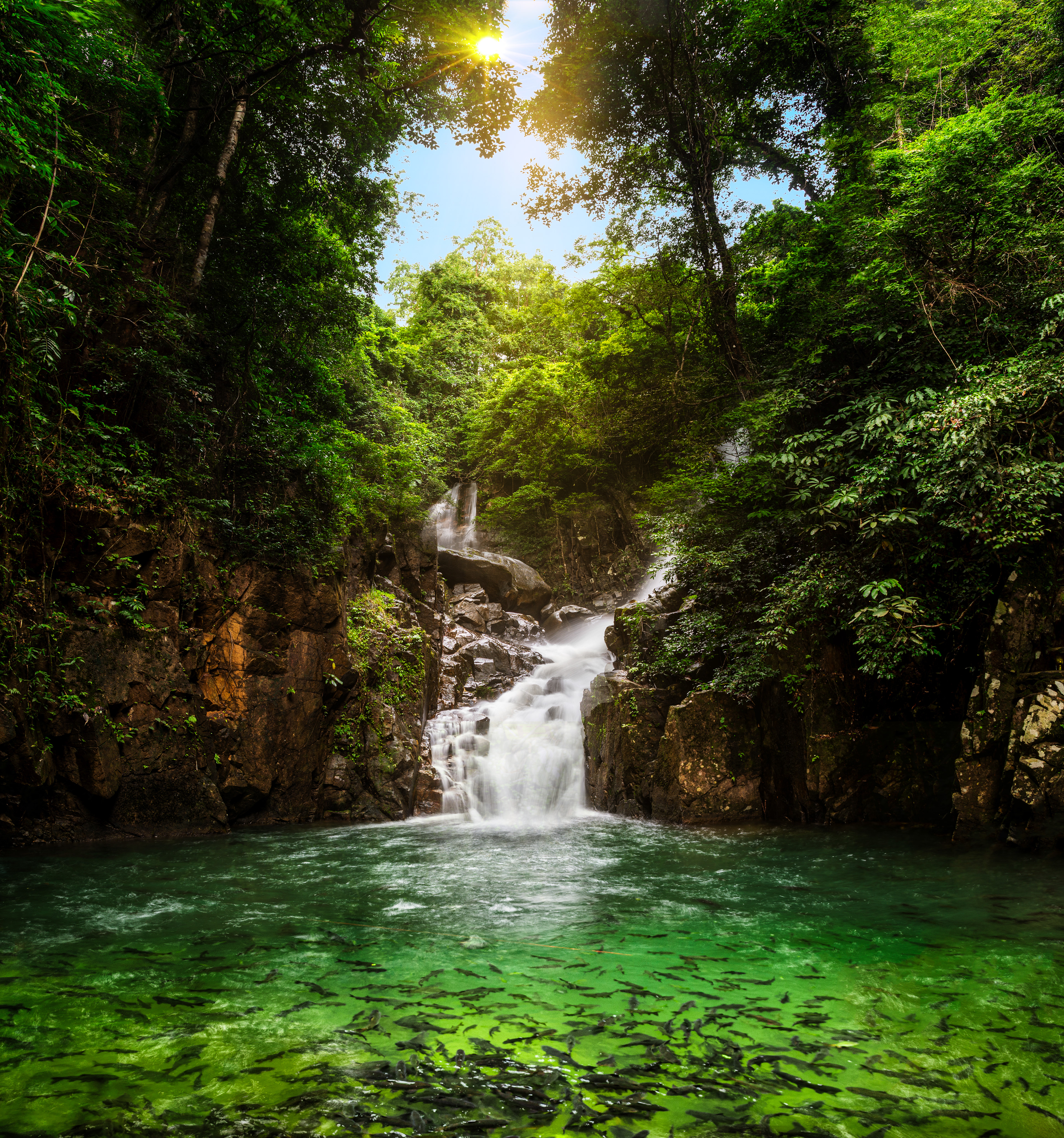 FOREST FOR LIFE PHOTO CONTEST / WINNER PRIZE 10,000 BAHT 