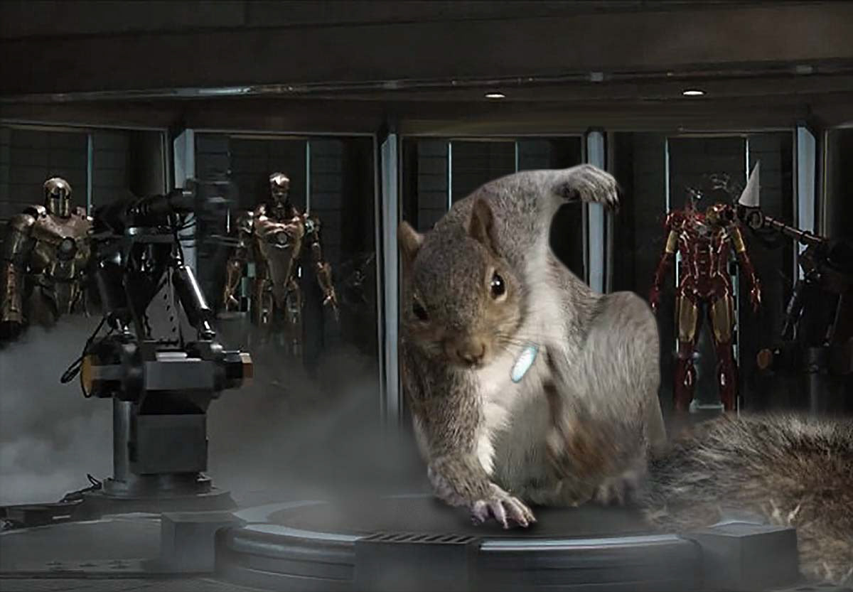 Iron Squirrel