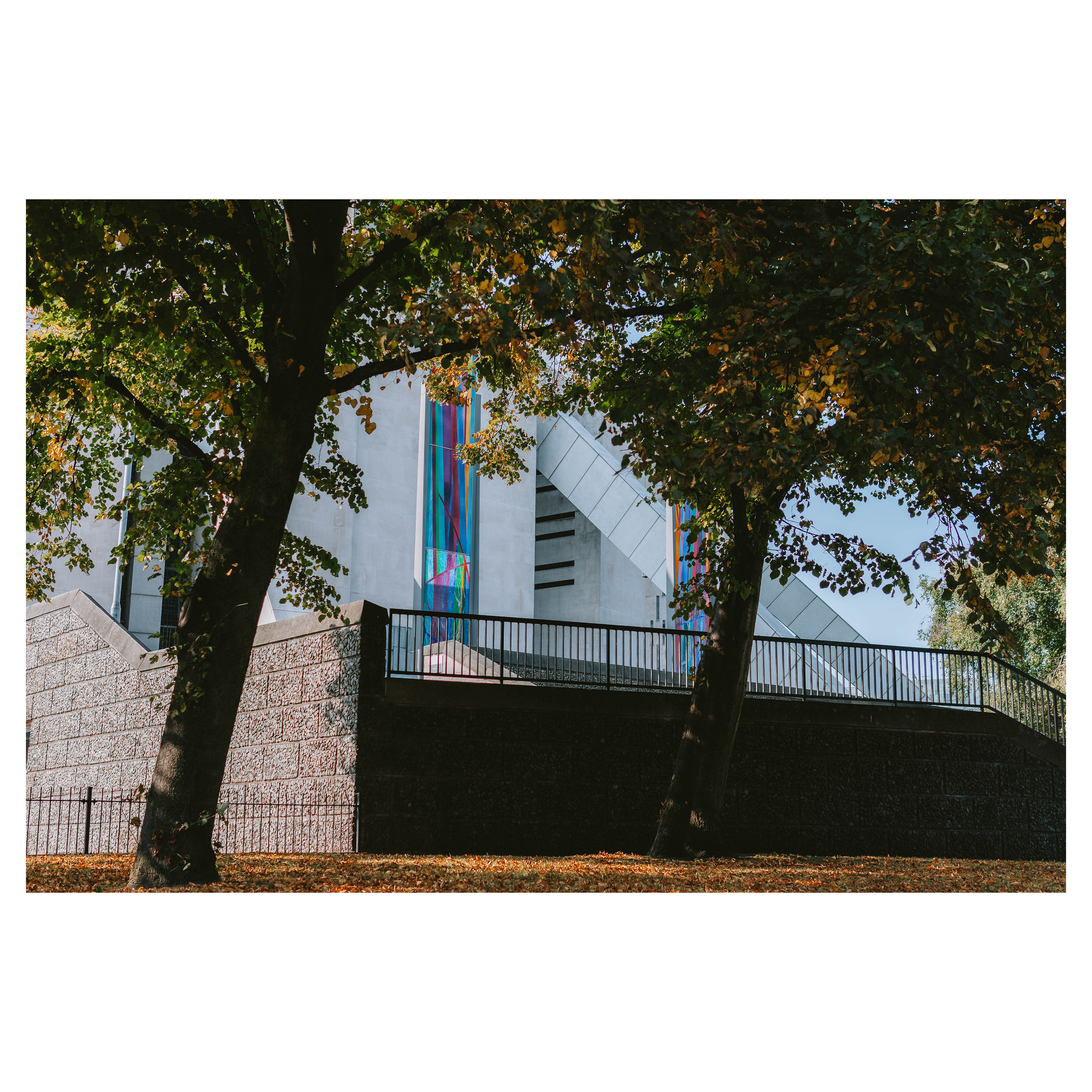 f/2.8 1/800 ISO 100 30mm