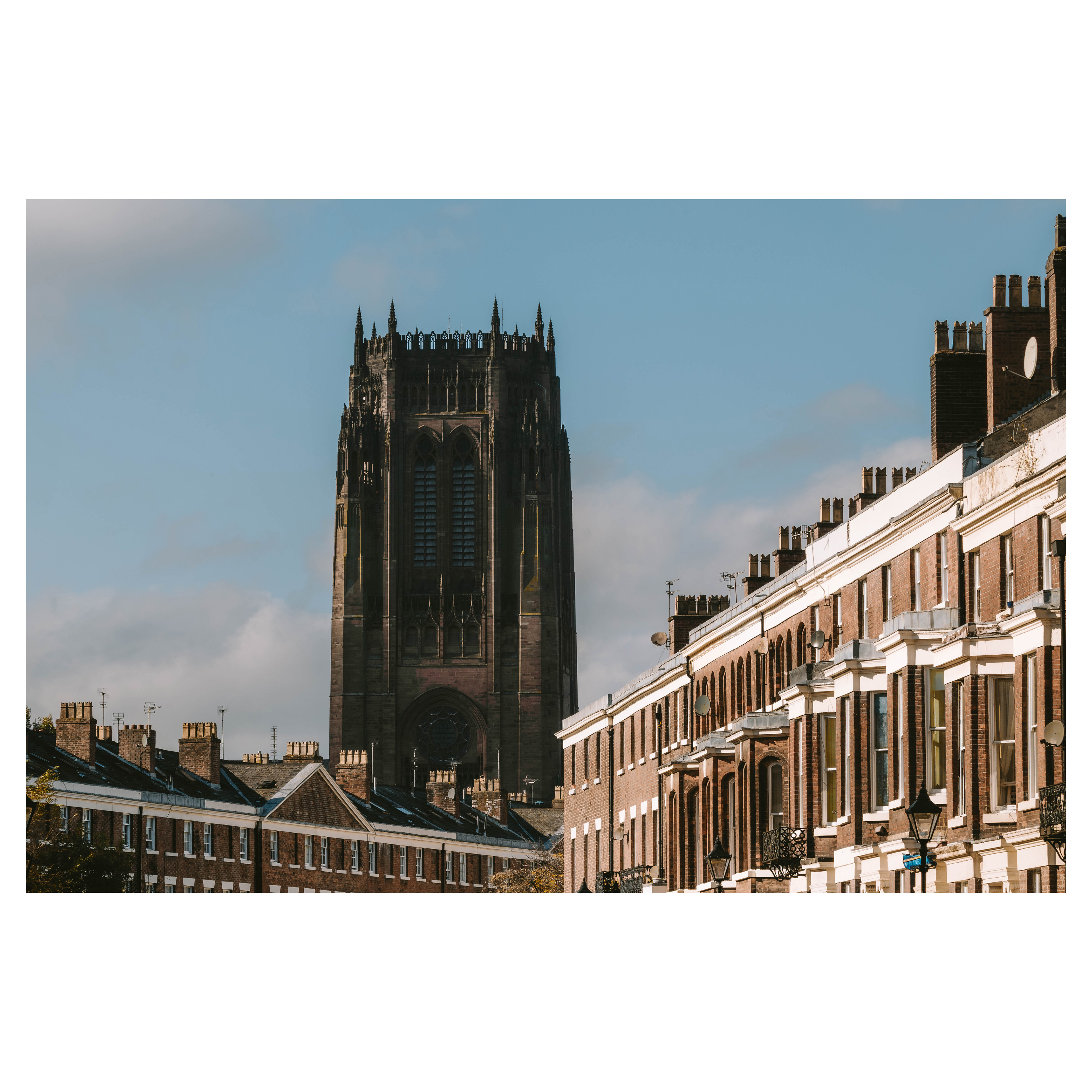 f/8 1/400 ISO 100 100mm