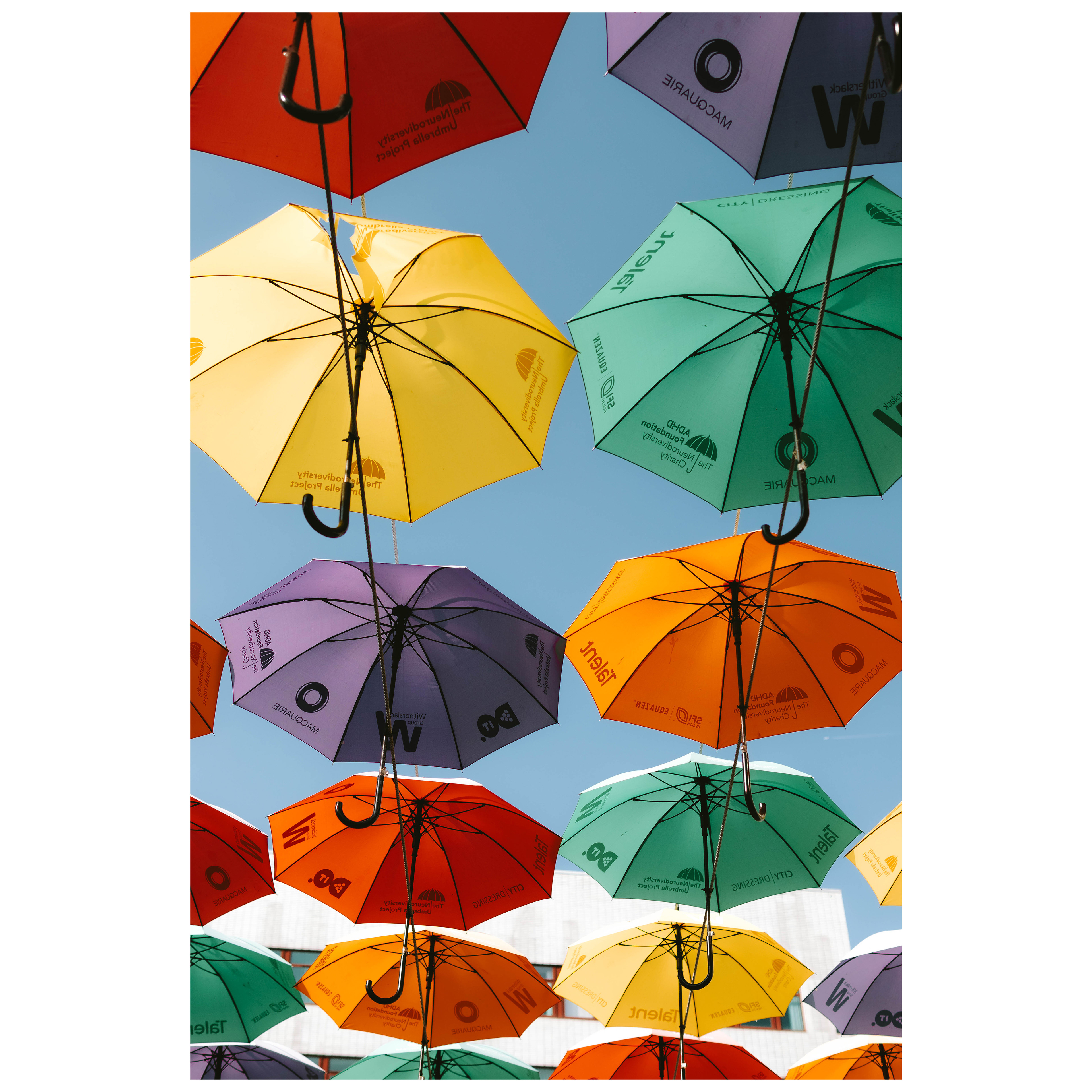 f/2.8 1/1600 ISO 100 30mm