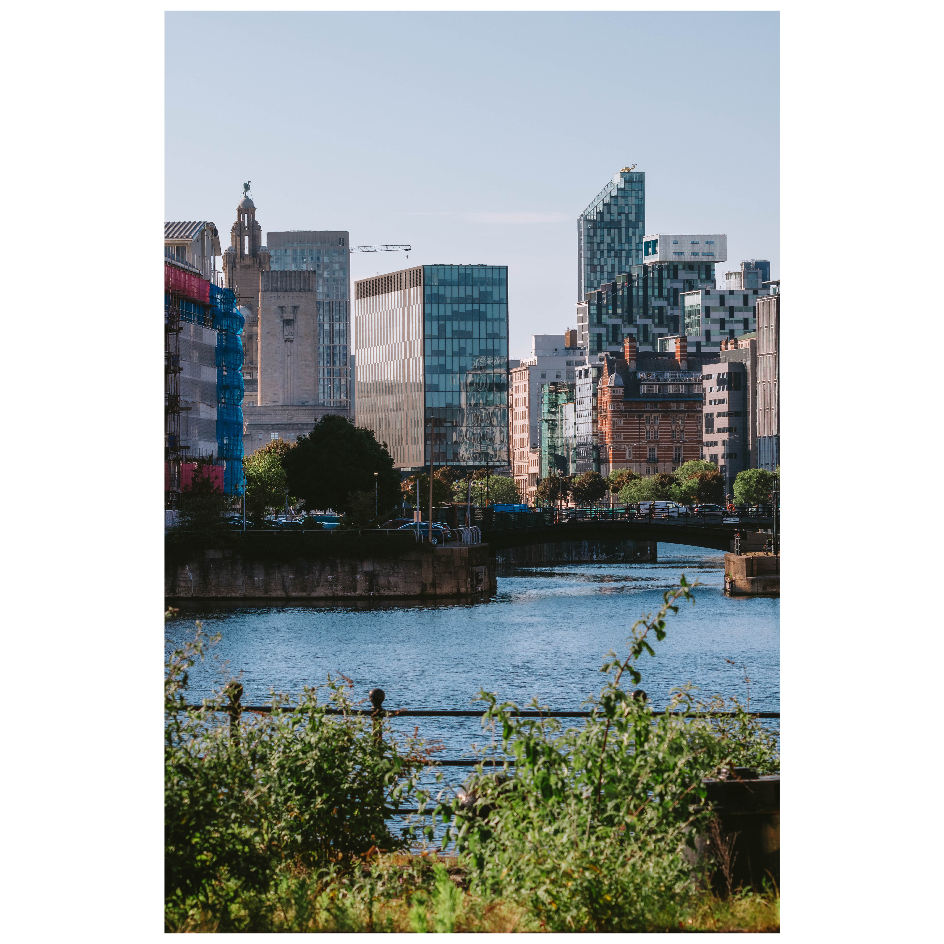 f/8 1/320 ISO 100 140mm