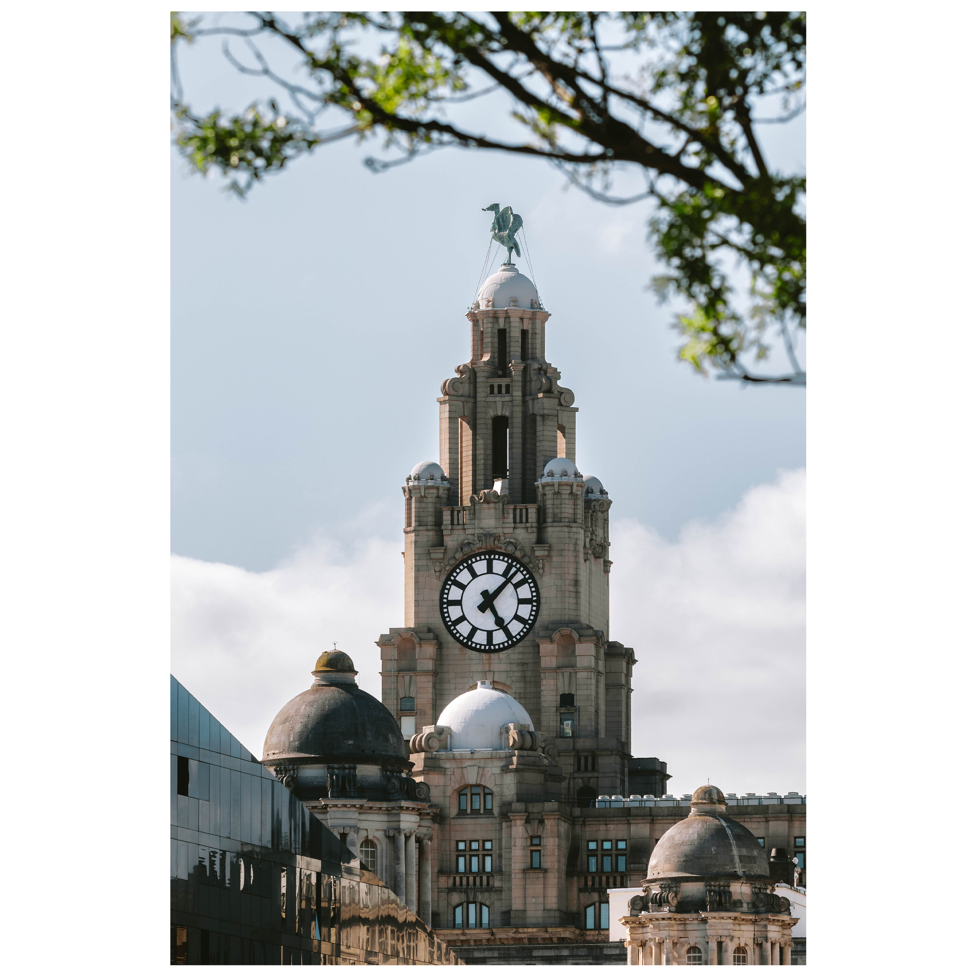 f/8 1/250 ISO 100 196mm