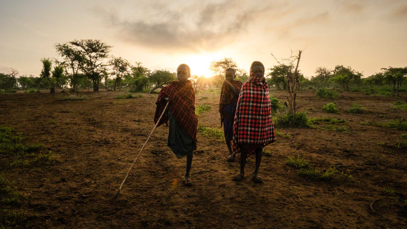Three Maasai children working as shepherds