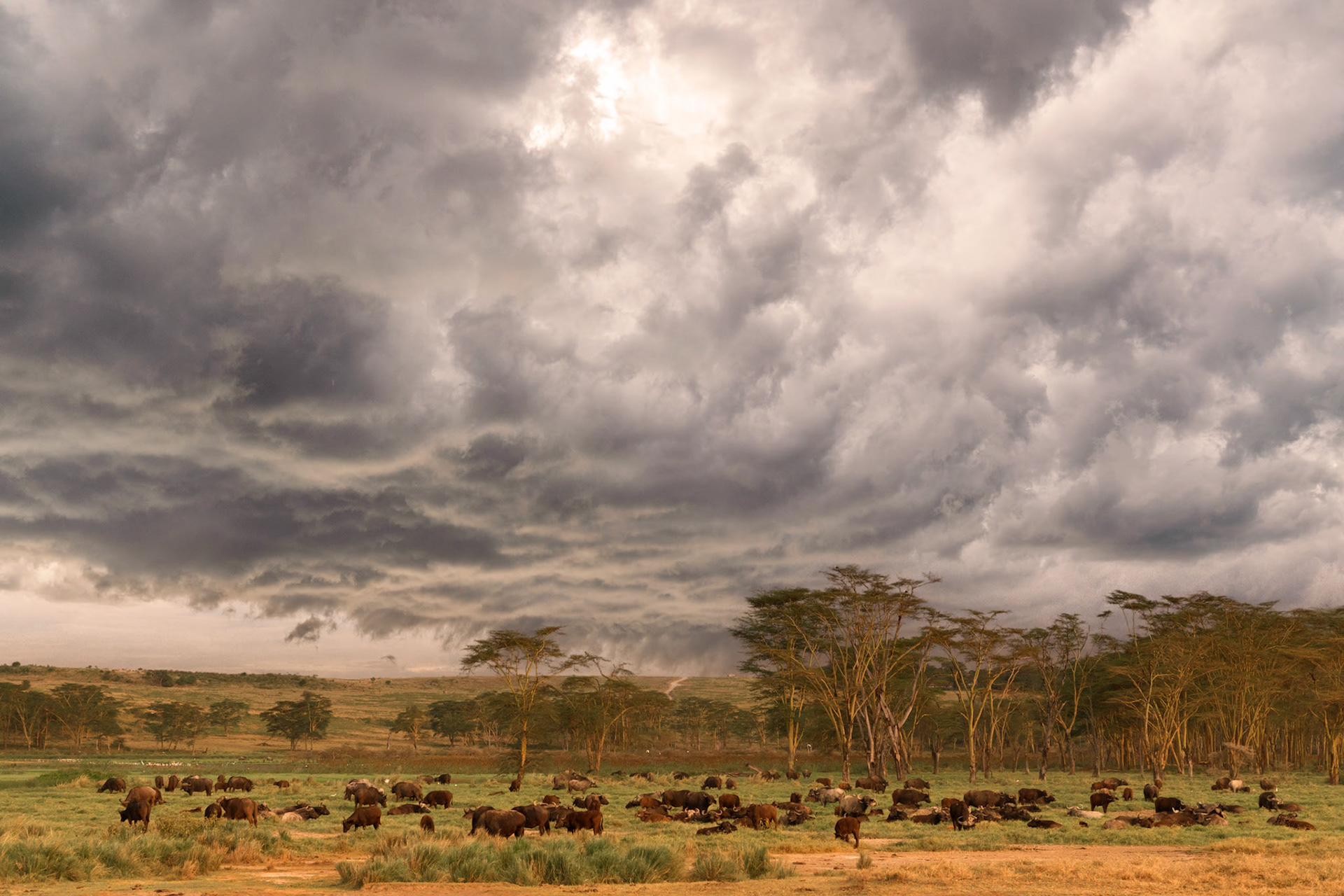 Kenia