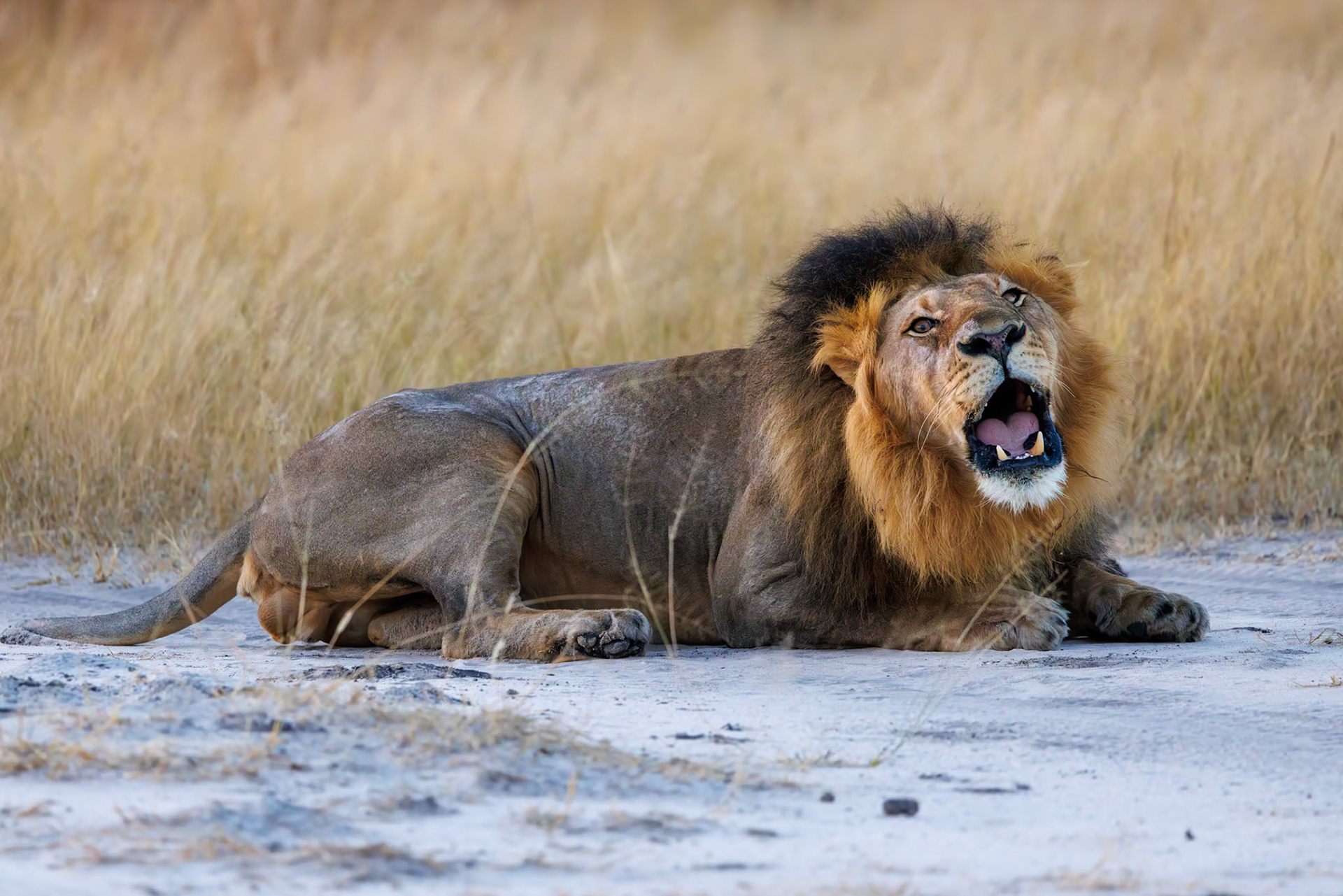Hwange National Park, Zimbabwe