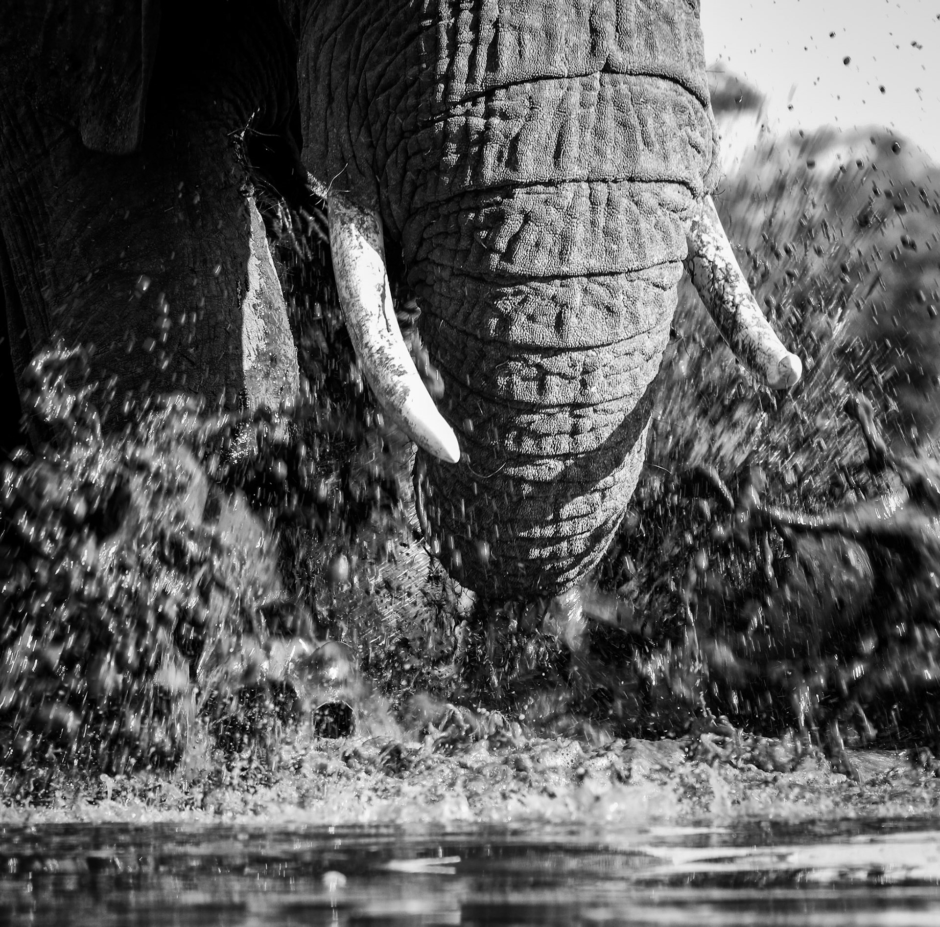 Bathing