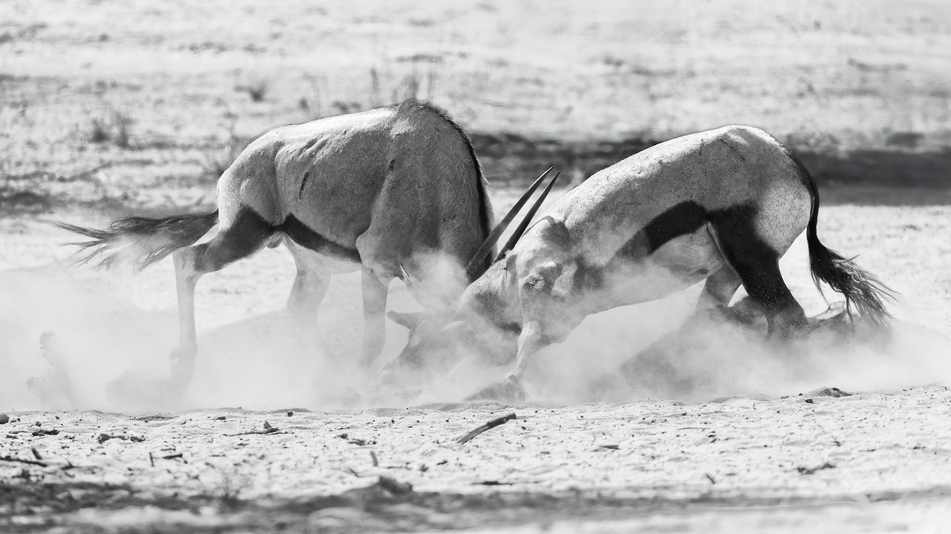 Kgalagadi, Botswana
