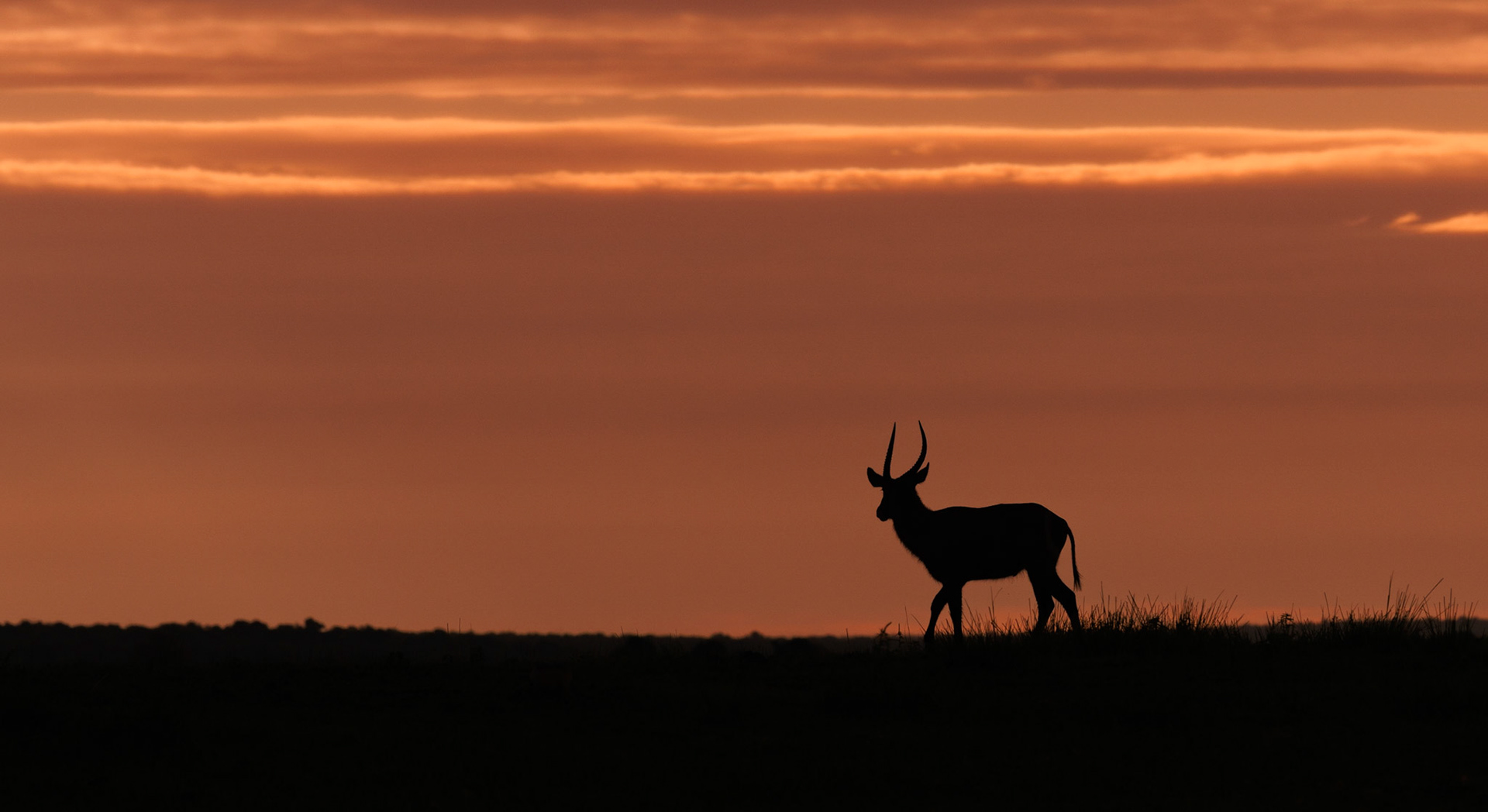 Chobe, Botswana