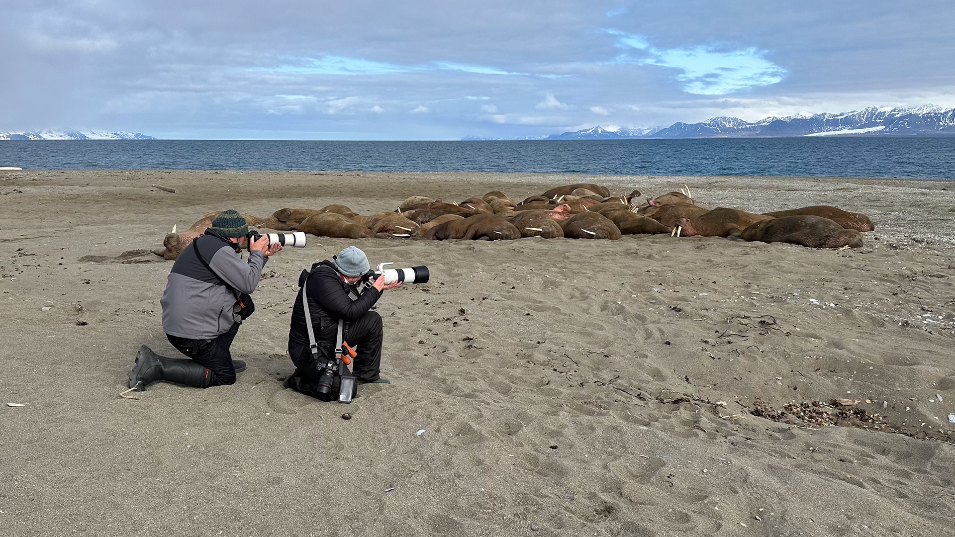 Michael and Lizanne with Walrus in Svalbard