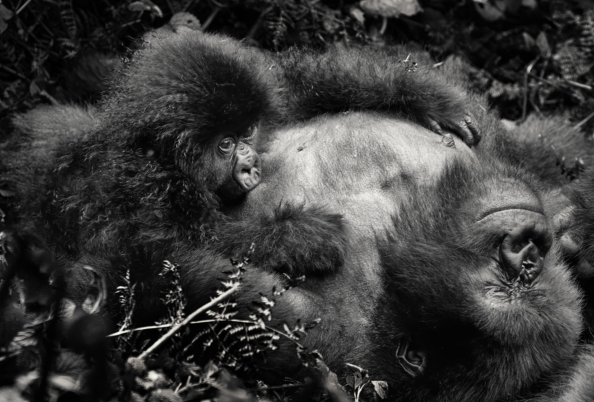 Rwanda