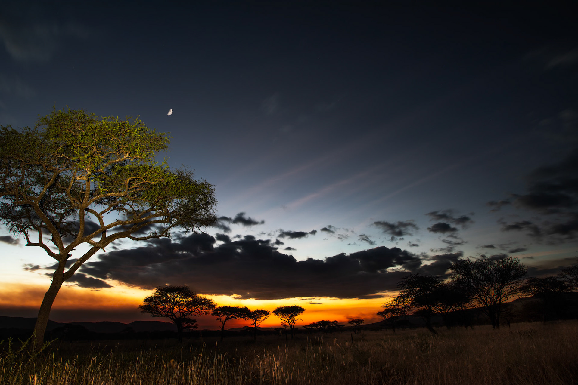 Serengeti, Tanzania
