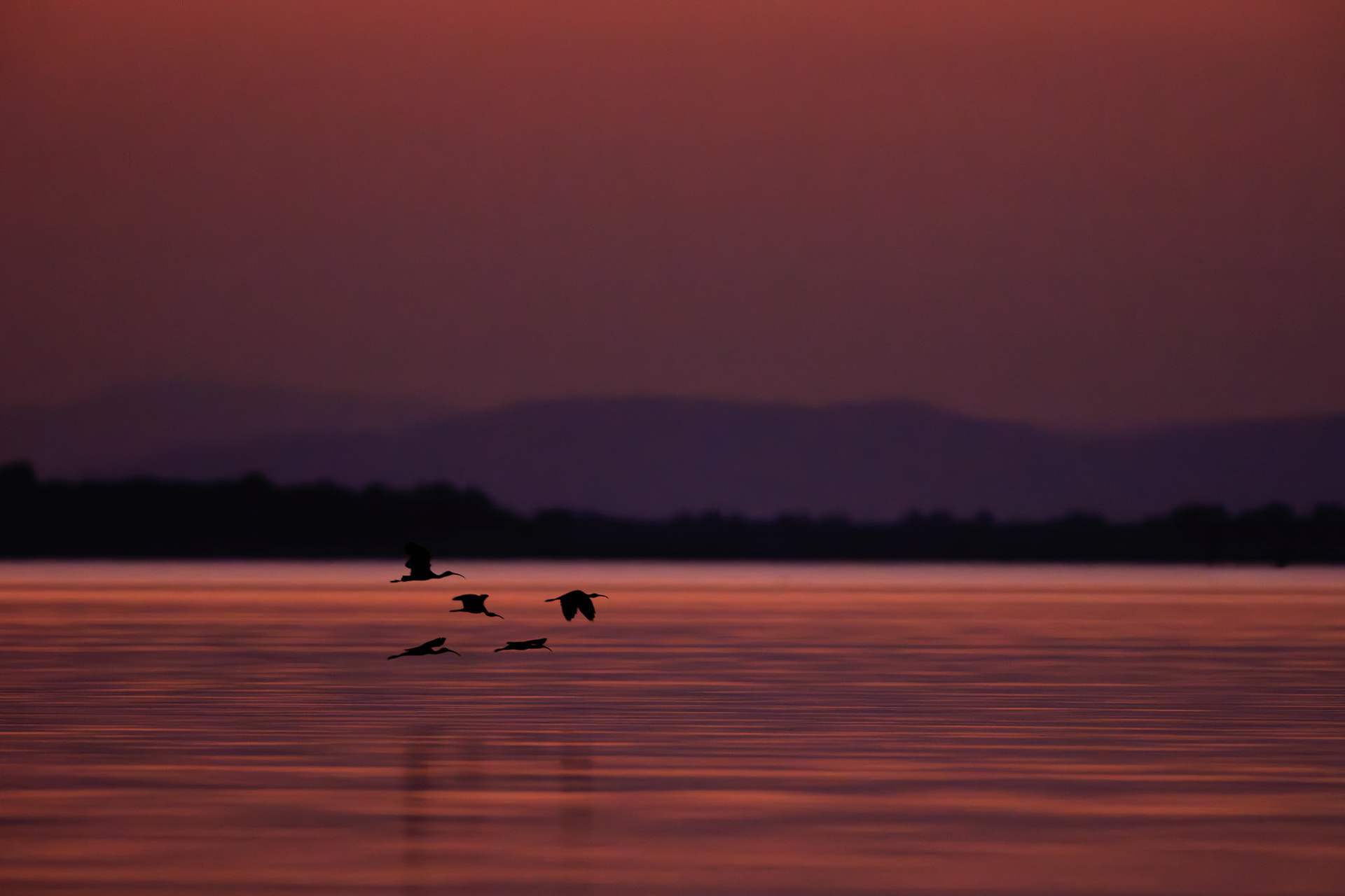 Kariba