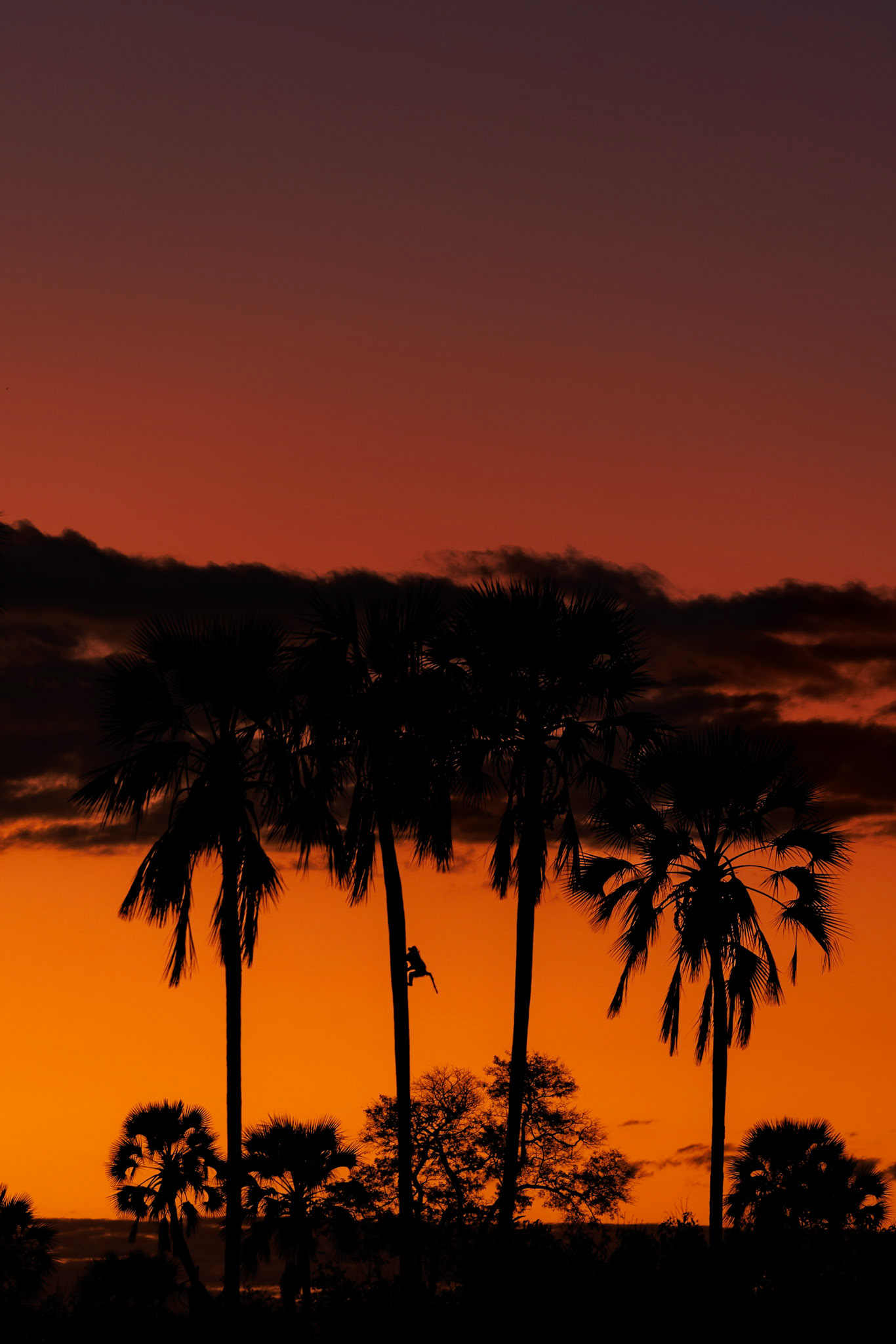 Okavango Delta, Botswana