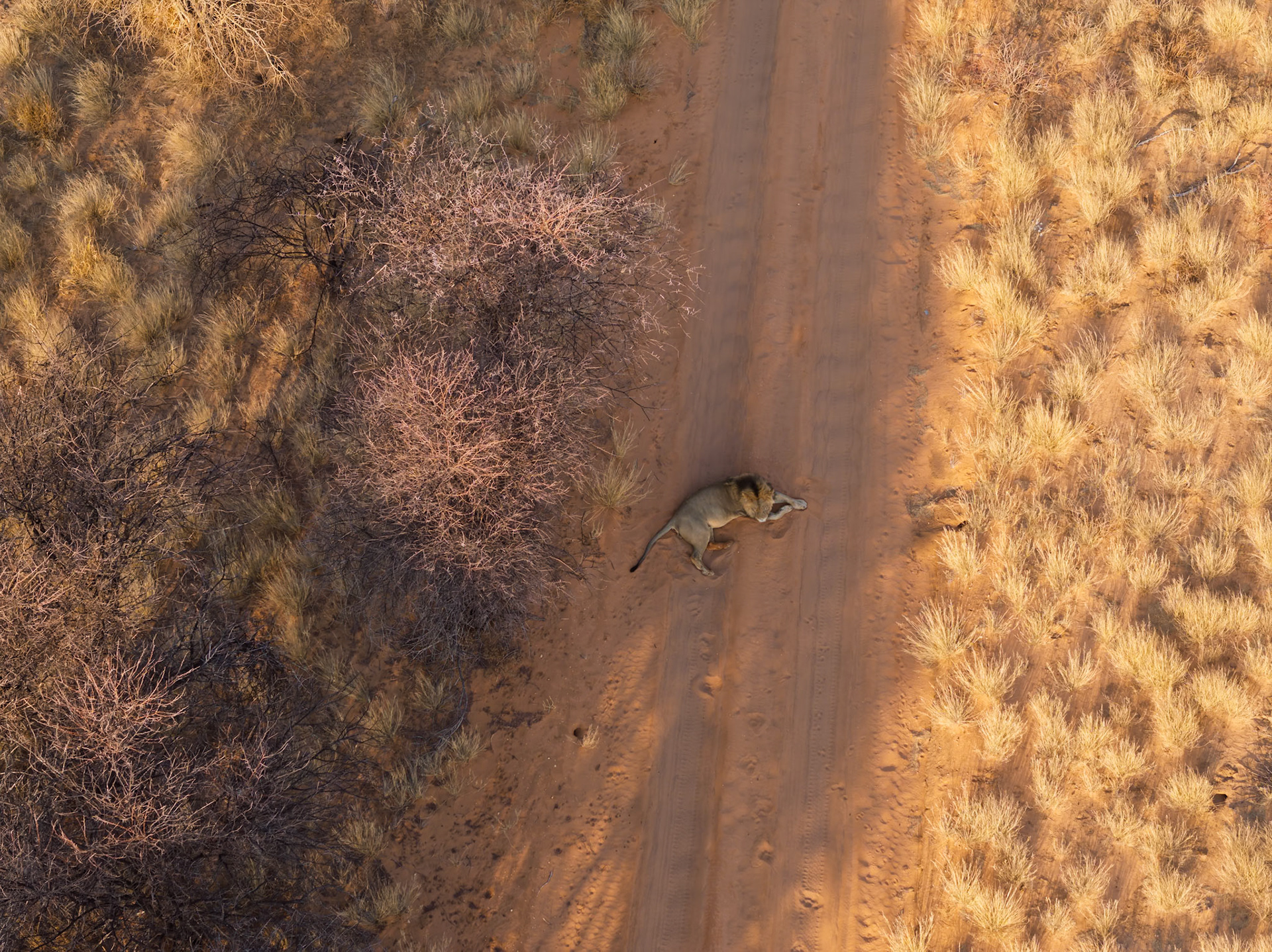 From the Air