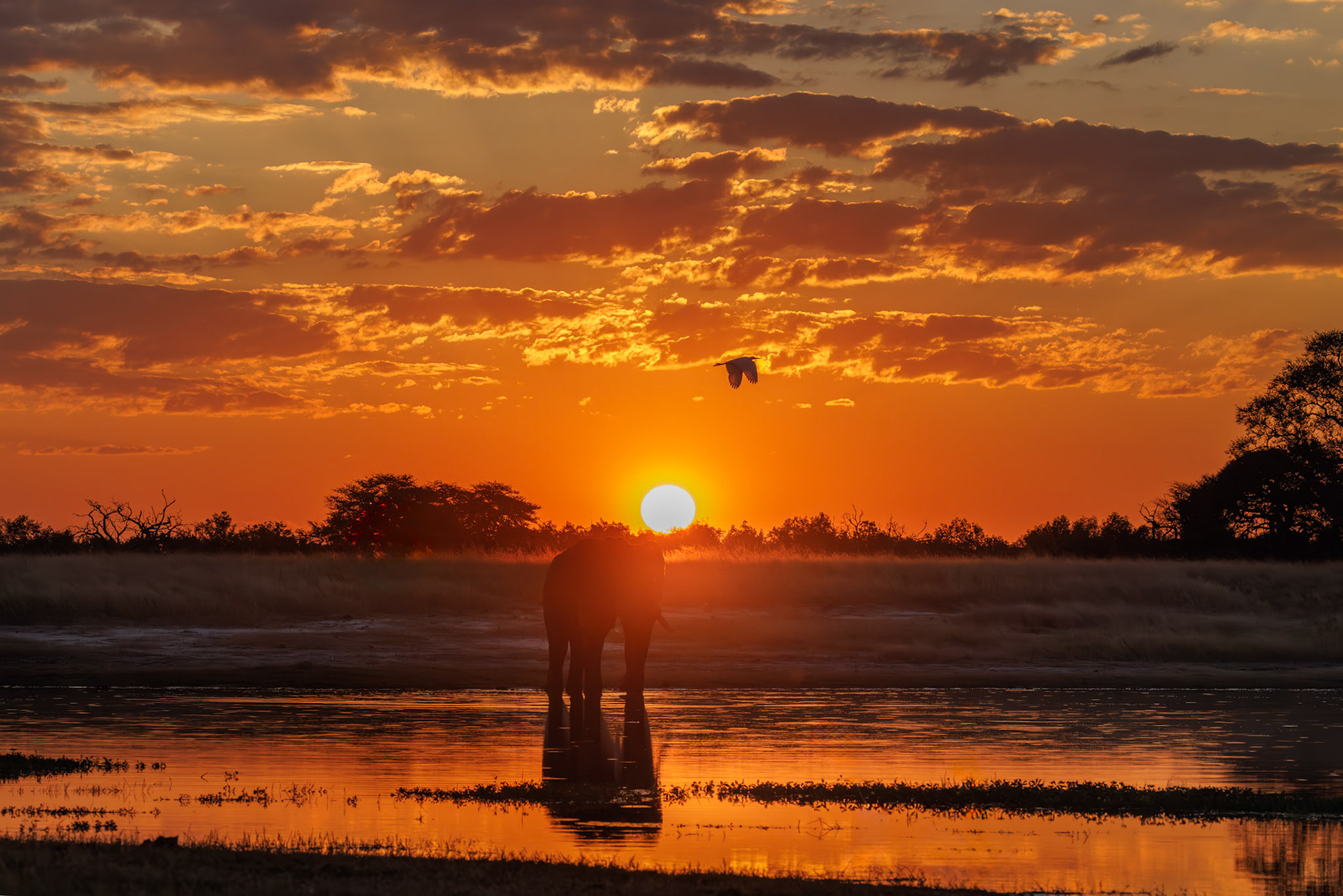 Hwange National Park, Zimbabwe