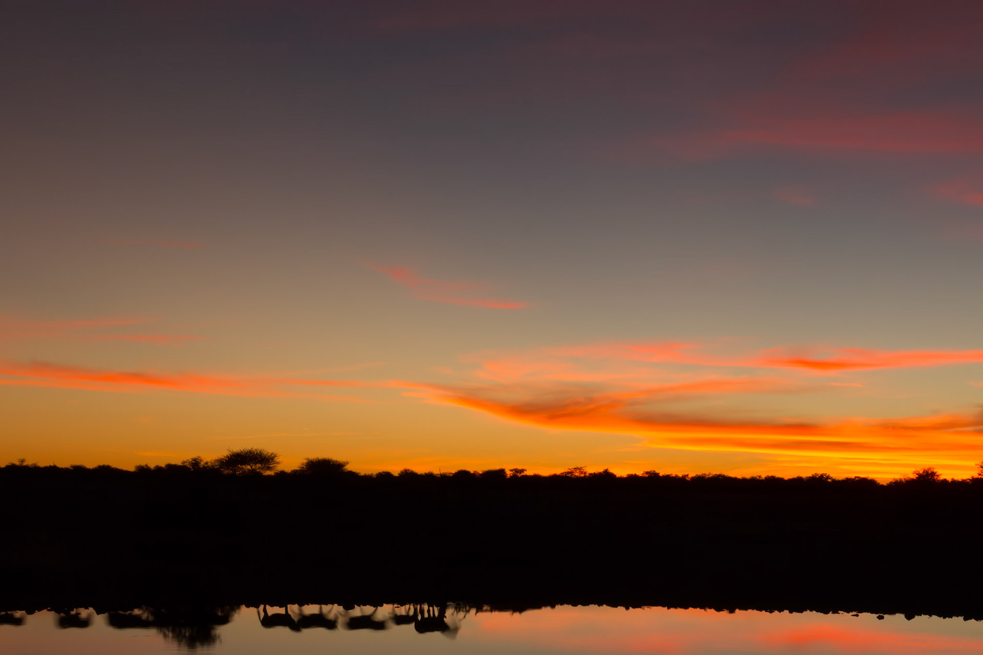 Etosha, NAmibia