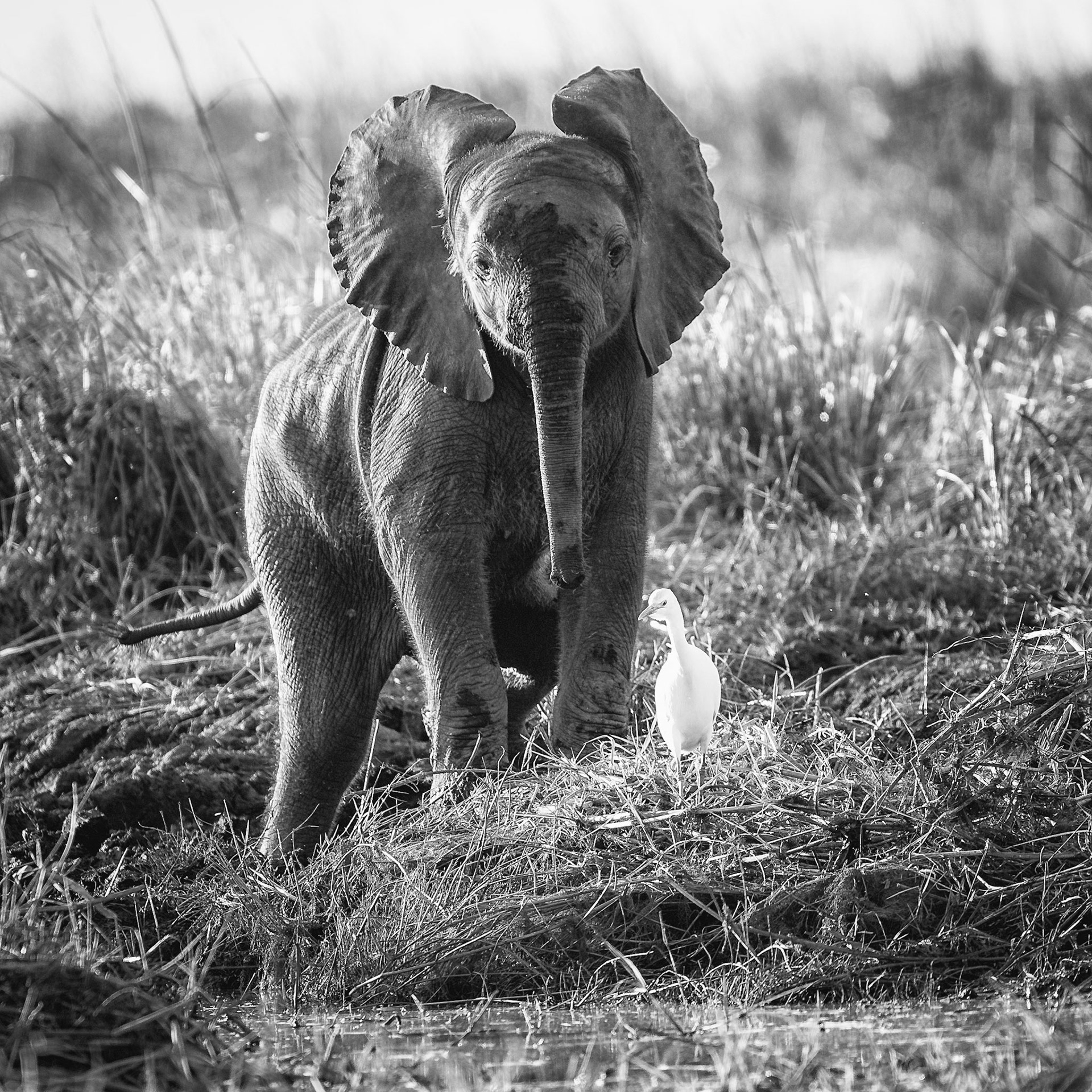 Inquisitive
