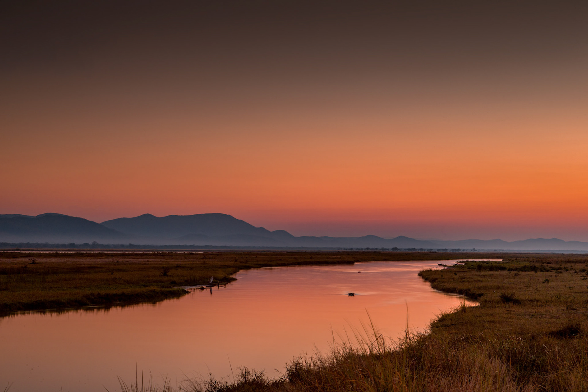 Mana Pools National Park, Zimbabwe