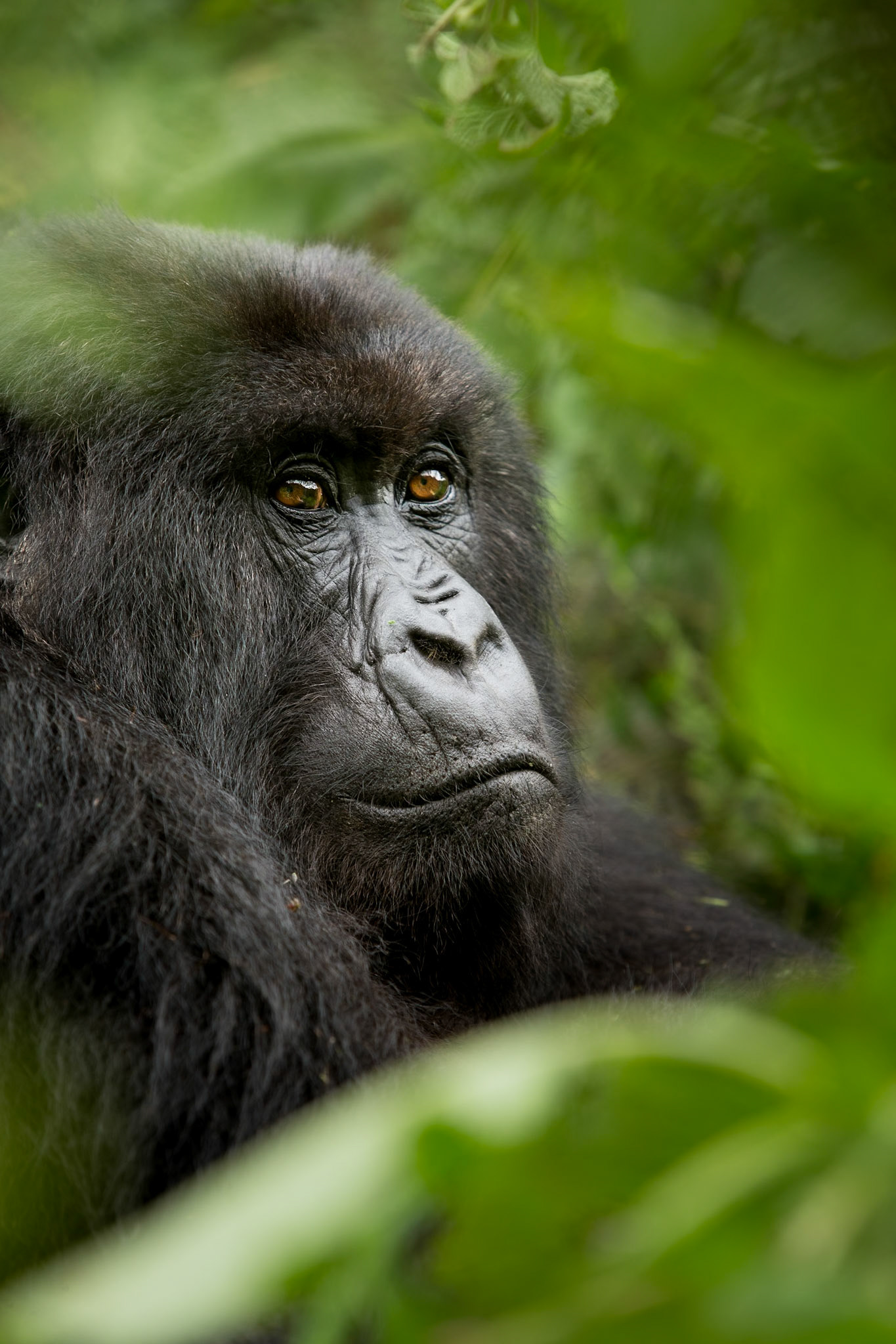 Rwanda