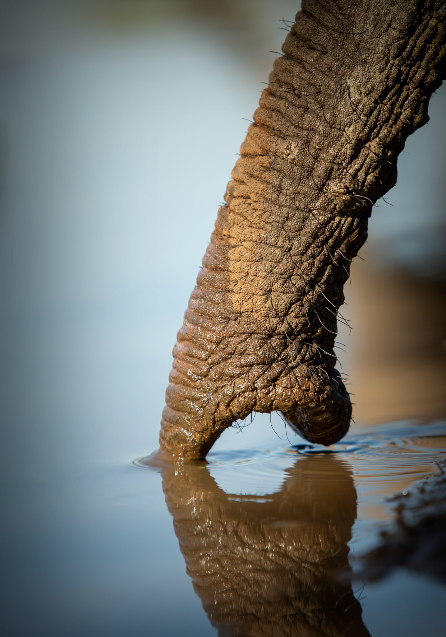 Botswana