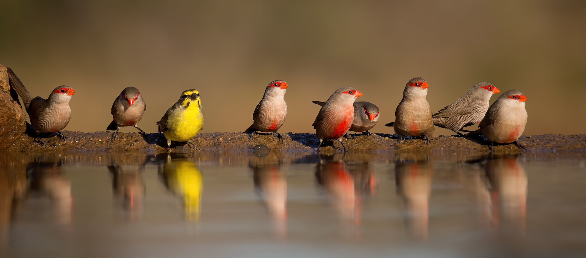 Group