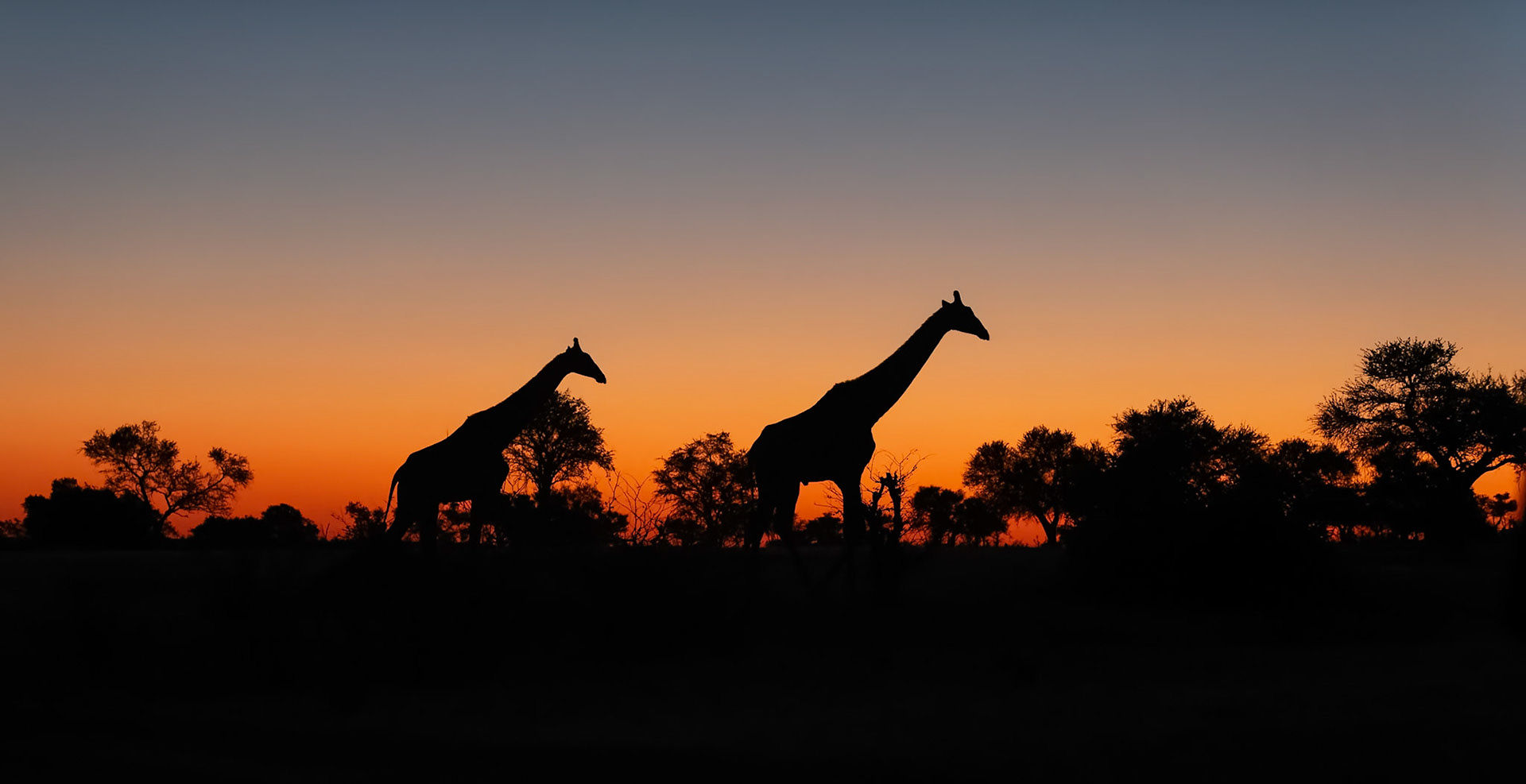 Mashatu,Botswana