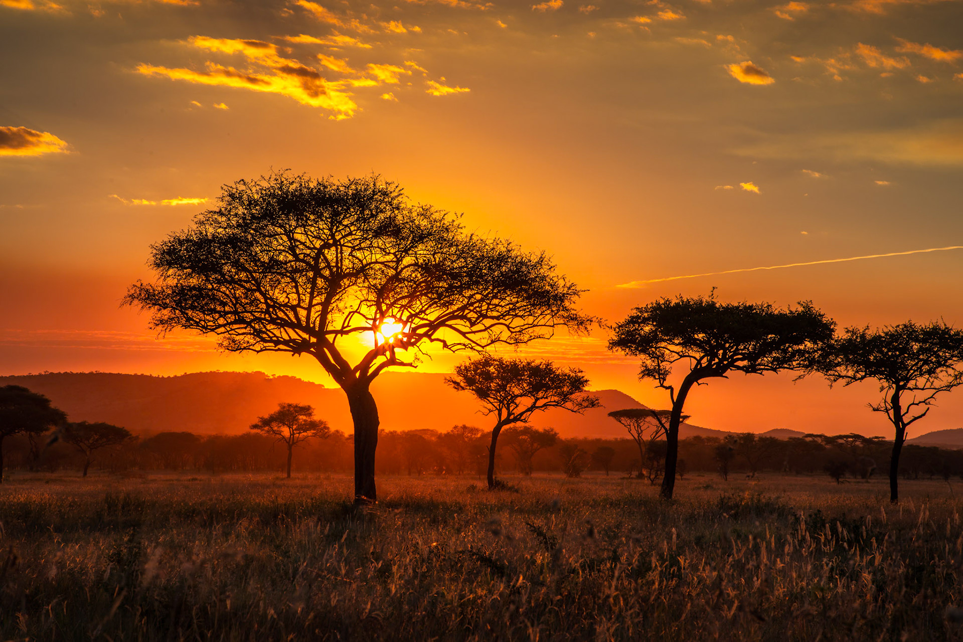 Serengeti, Tanzania