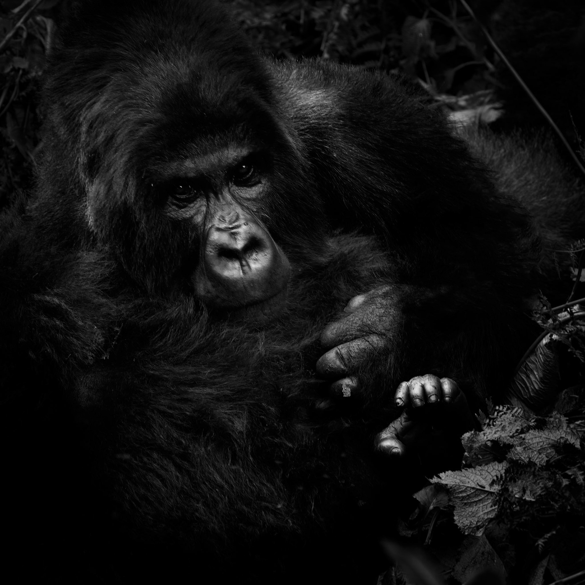Rwanda