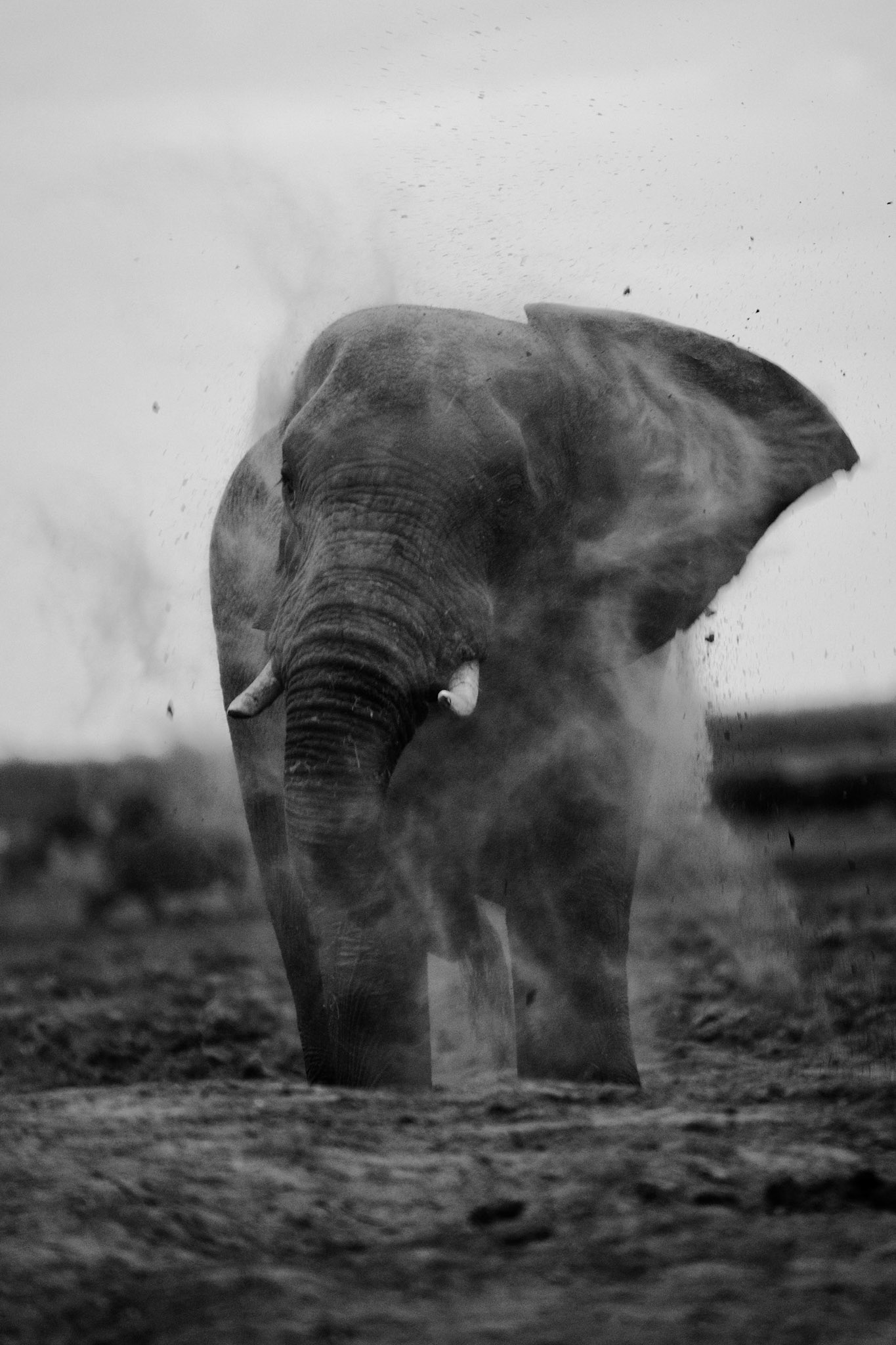 Dust