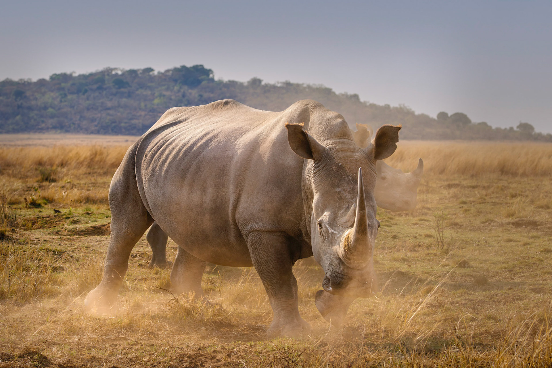 Limpopo, South Africa
