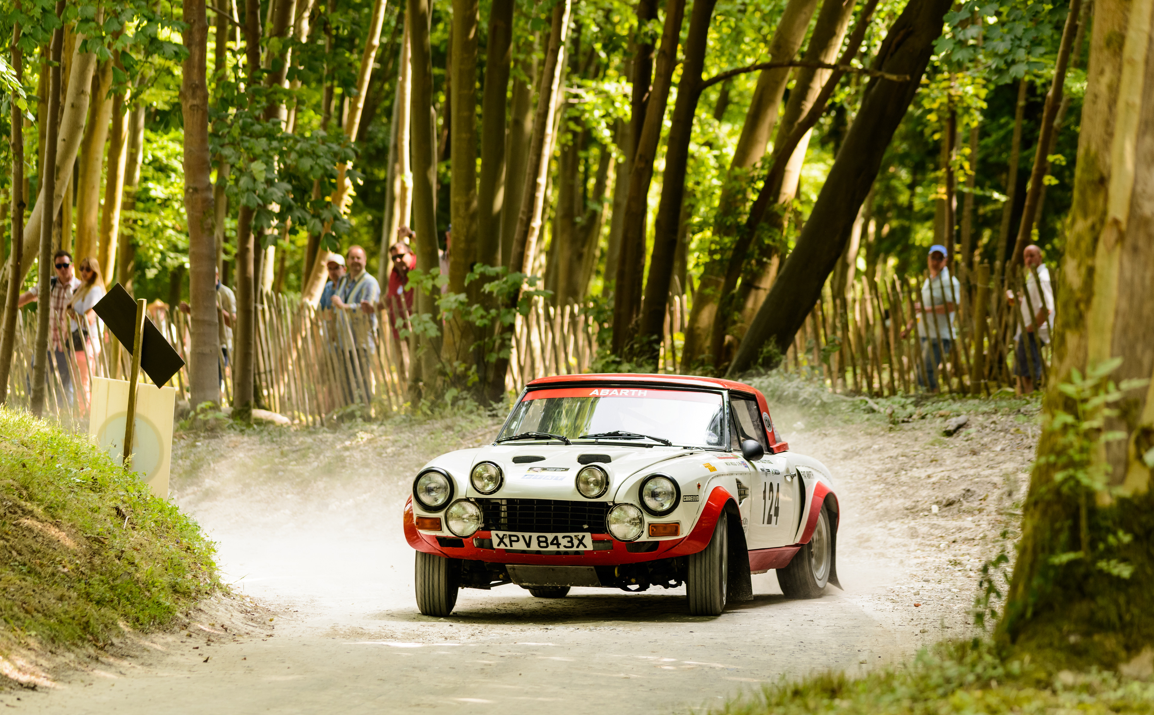 Forest rally stage, Goodwood Festival of Speed 2013