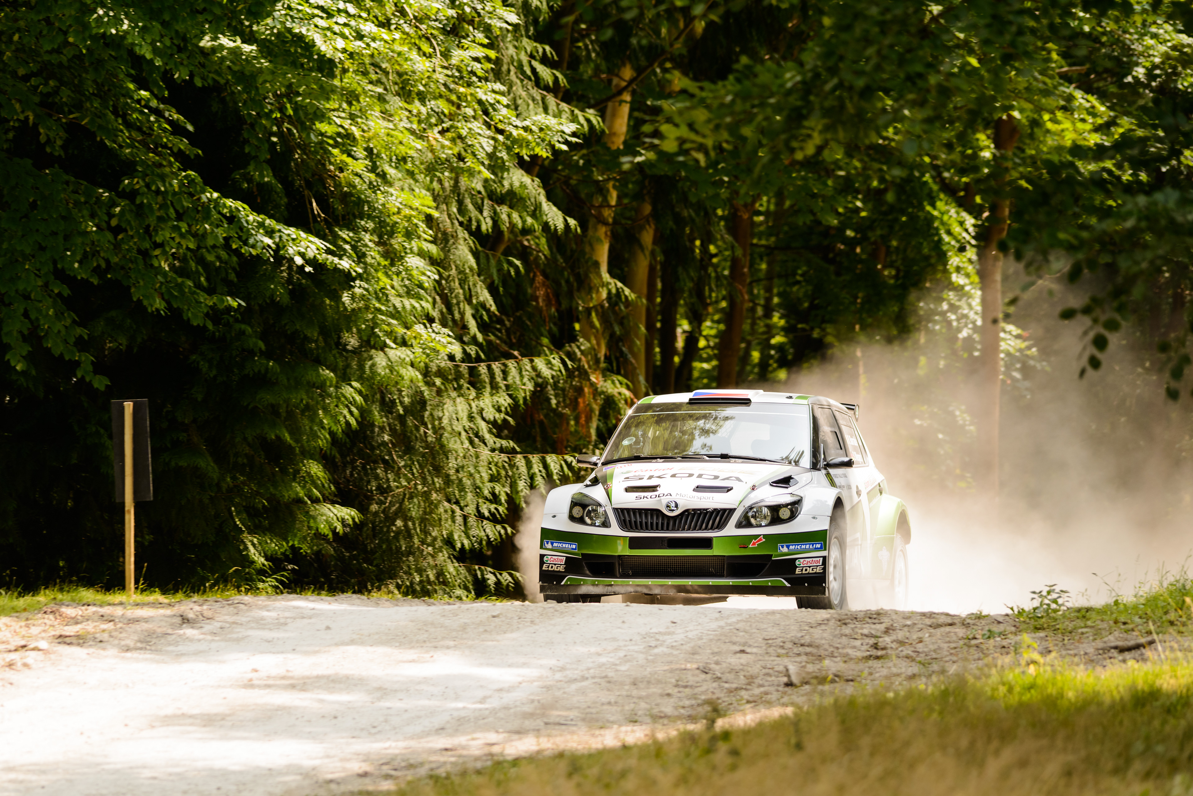 Forest rally stage, Goodwood Festival of Speed 2013