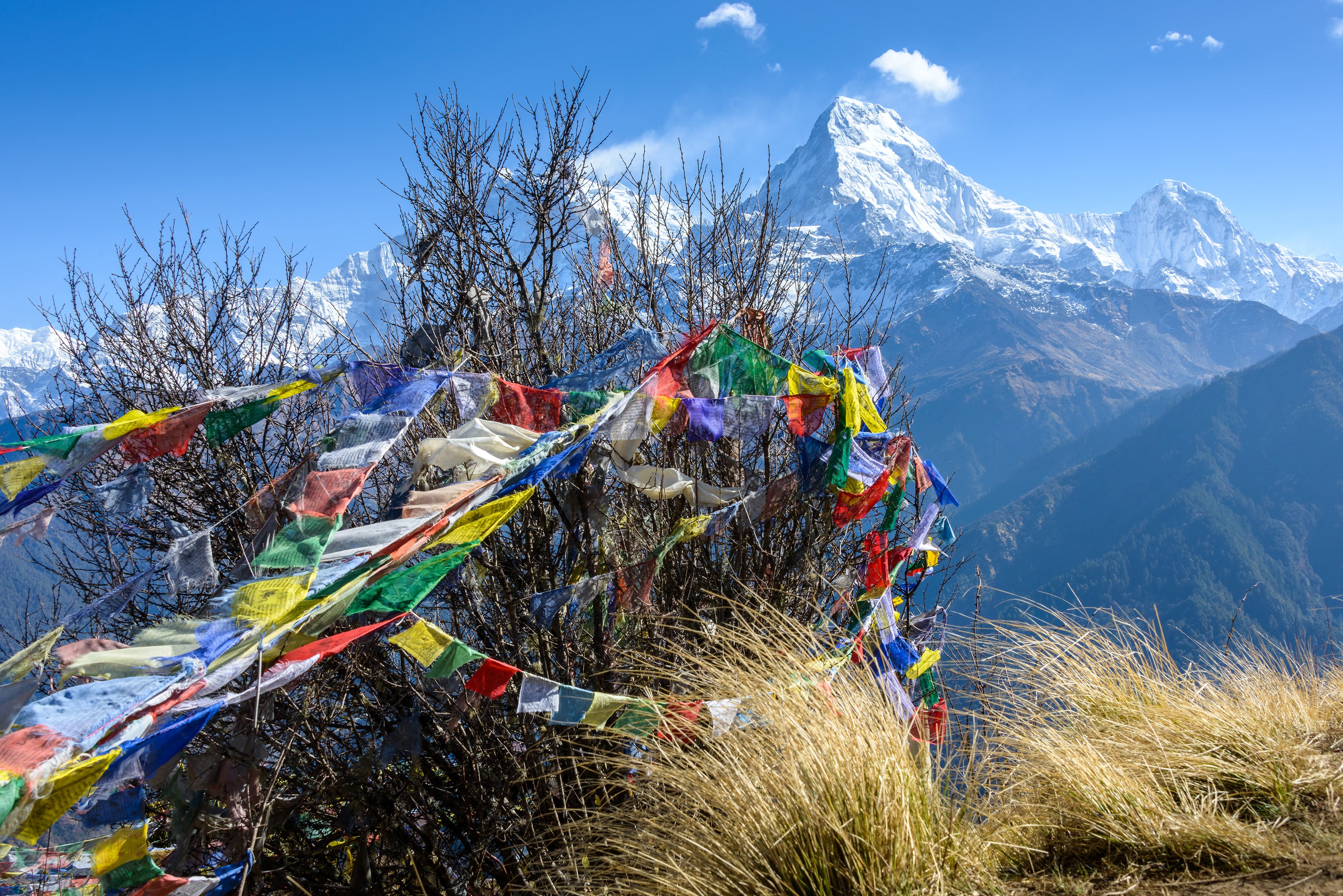 The Annapurna South with prayer flags in the foreground, seen from Poonhill, in Nepal