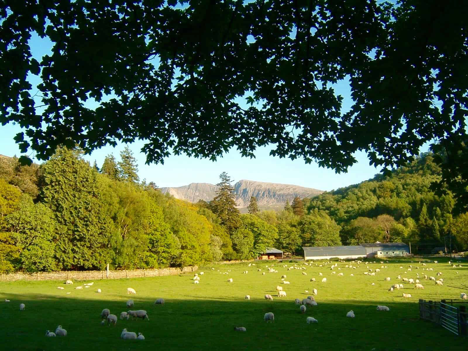 Cader Idris Evening Sunlight
