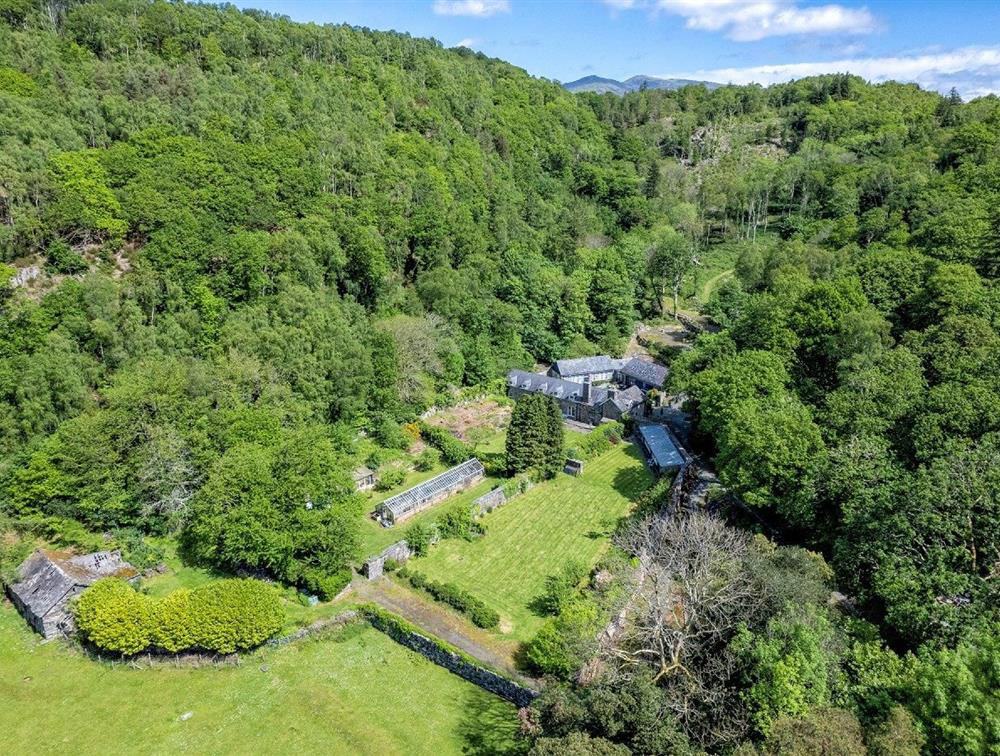 Welcome to Abergwynant's Woodland Estate