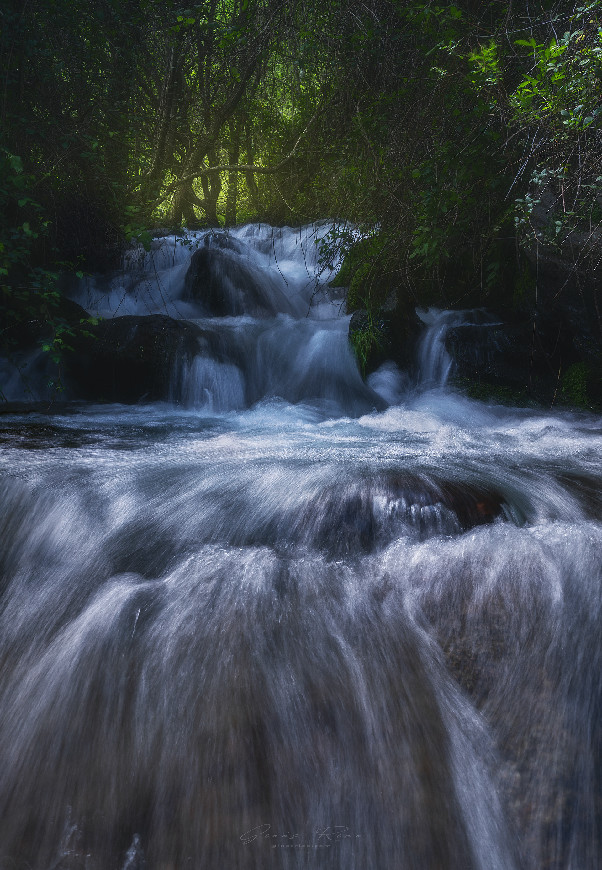 Aguas