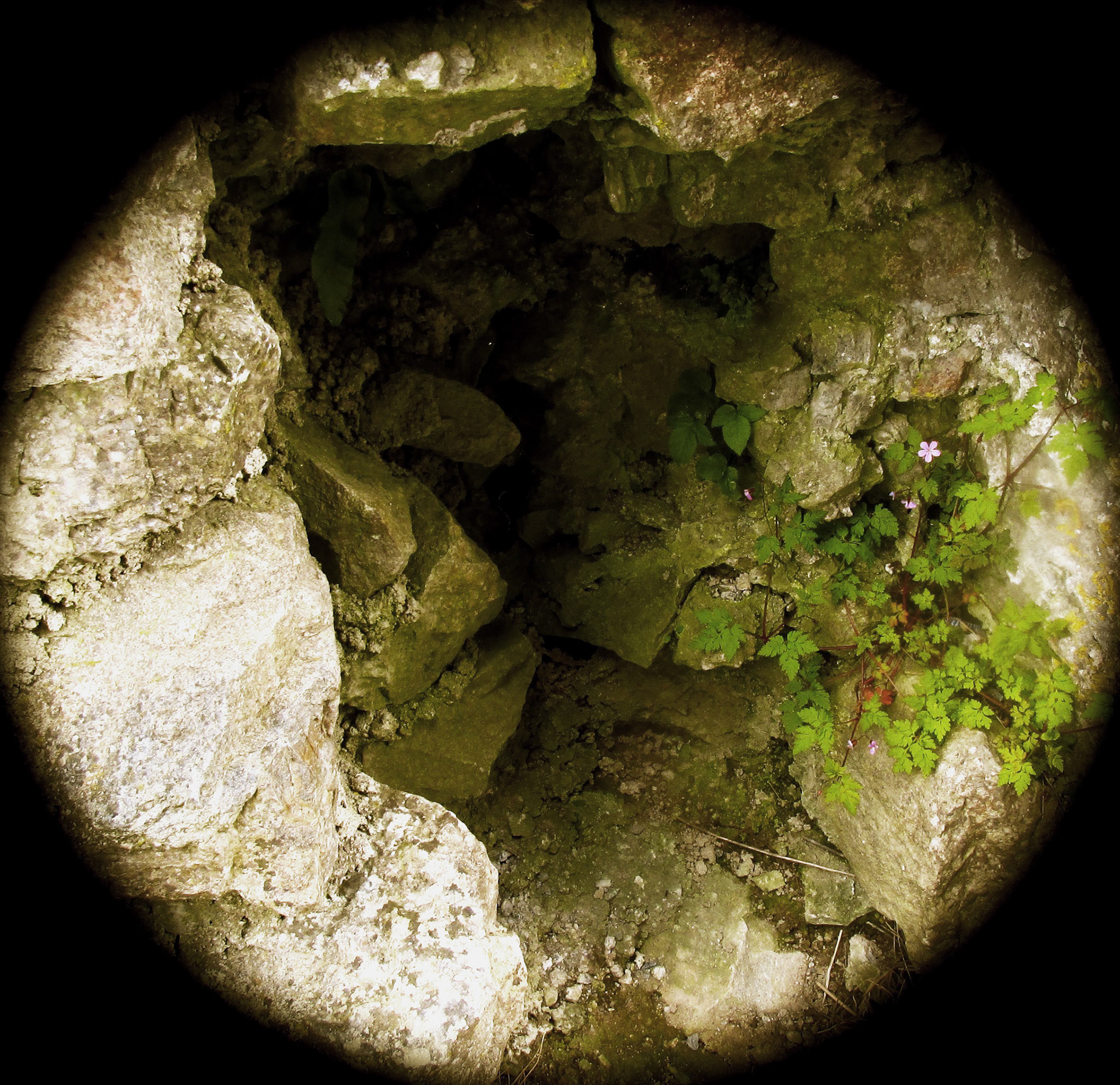 Cavernous