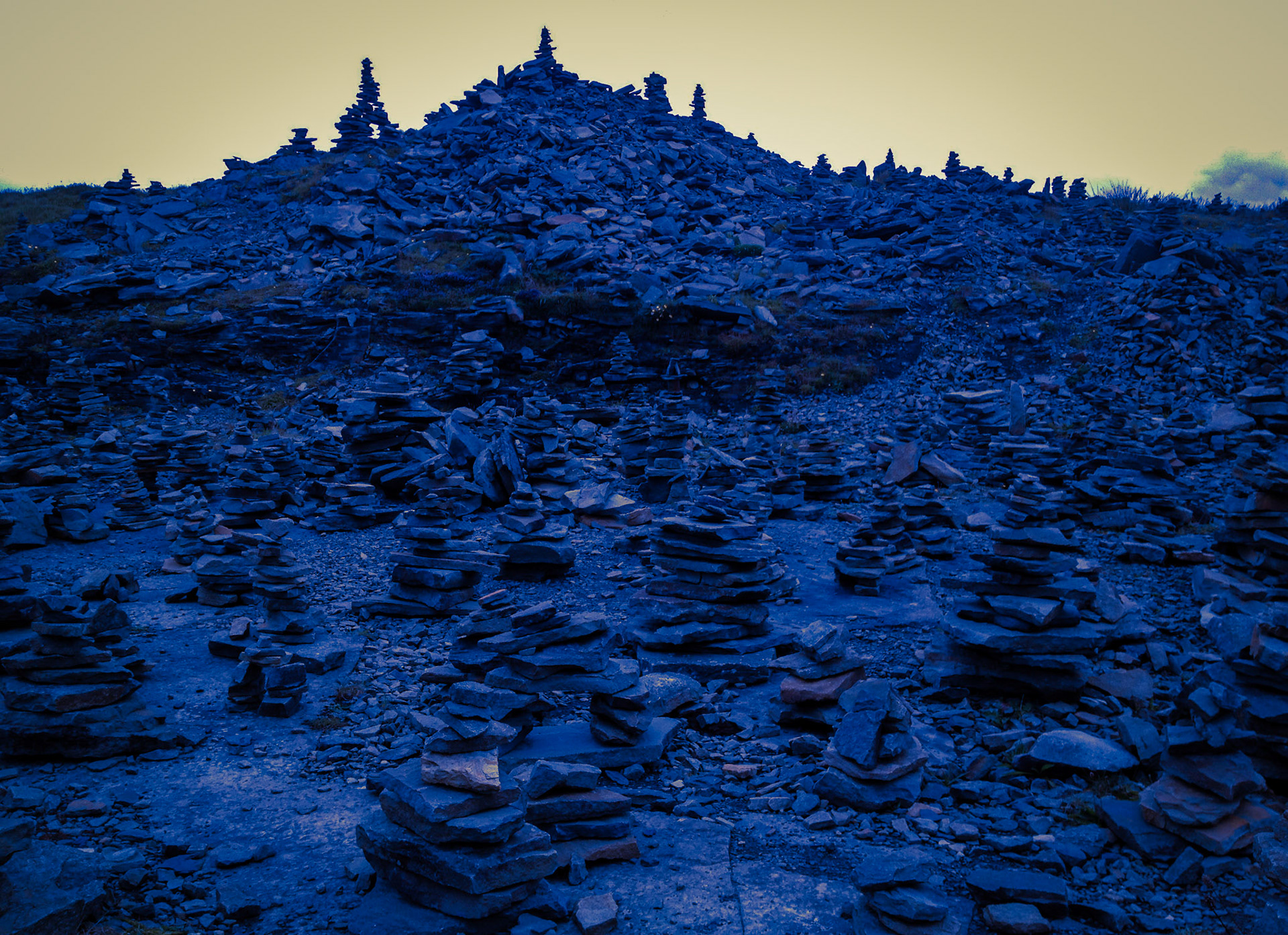 Field of Grief