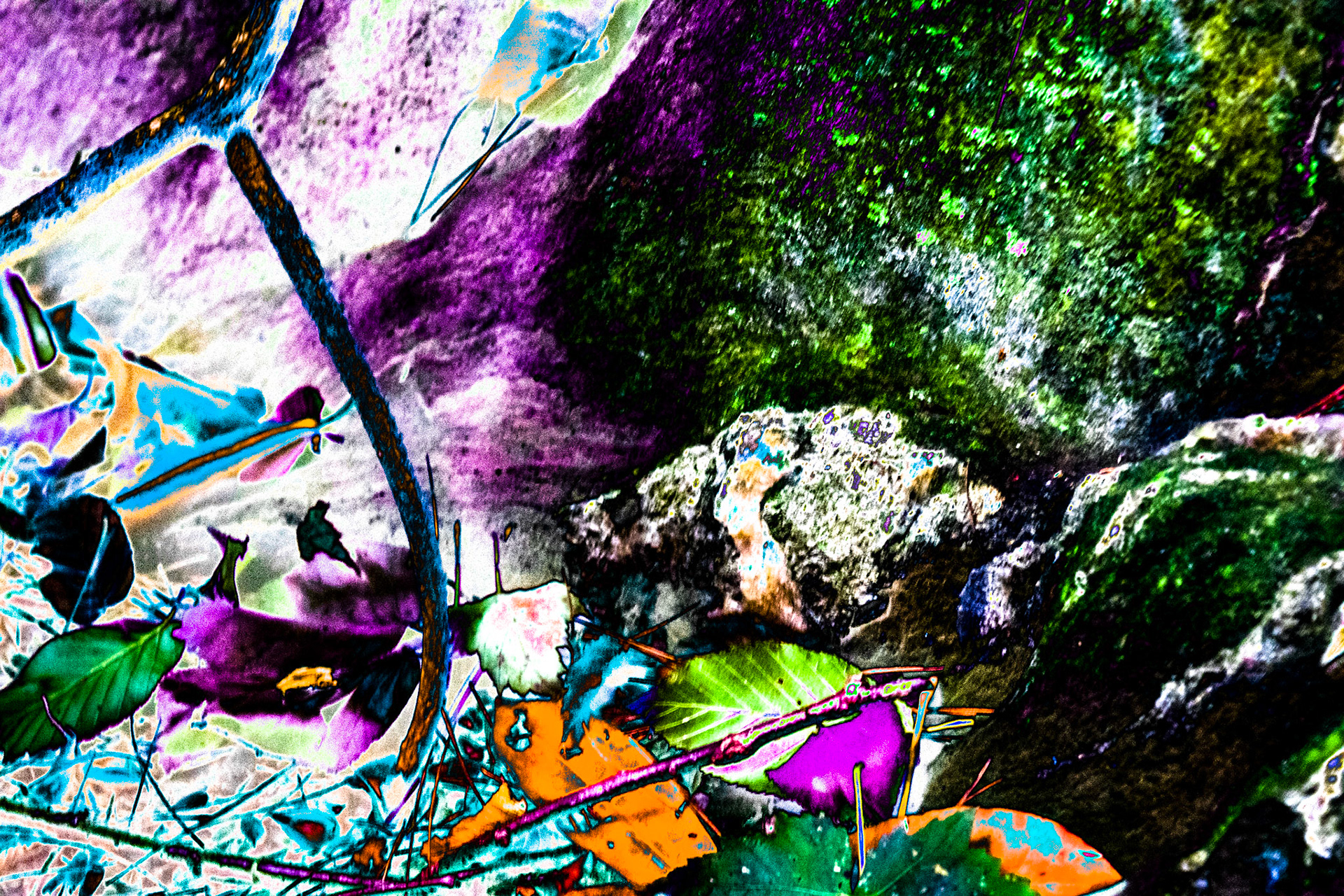 What Emerges