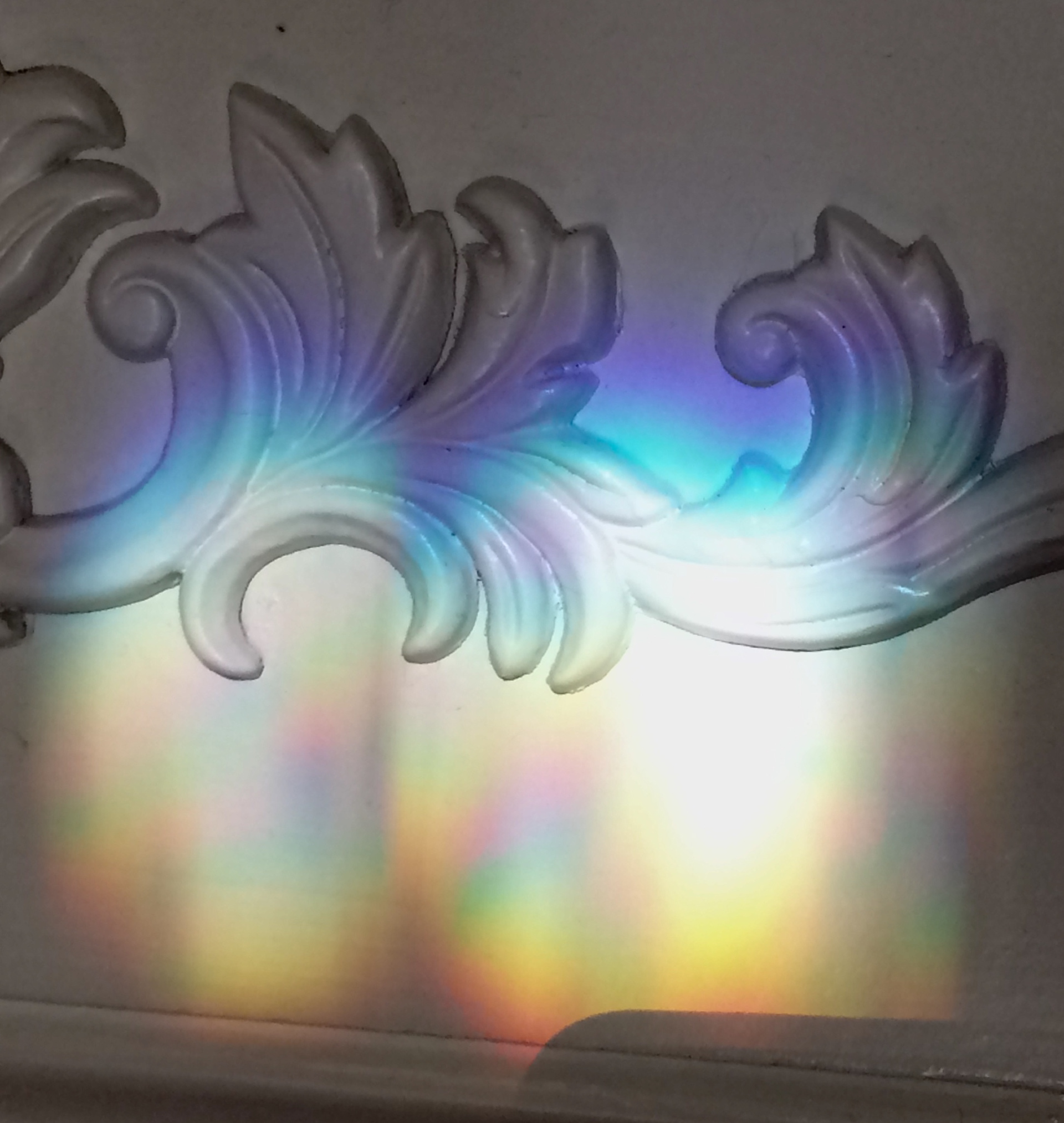 Rainbow Light and Leaves