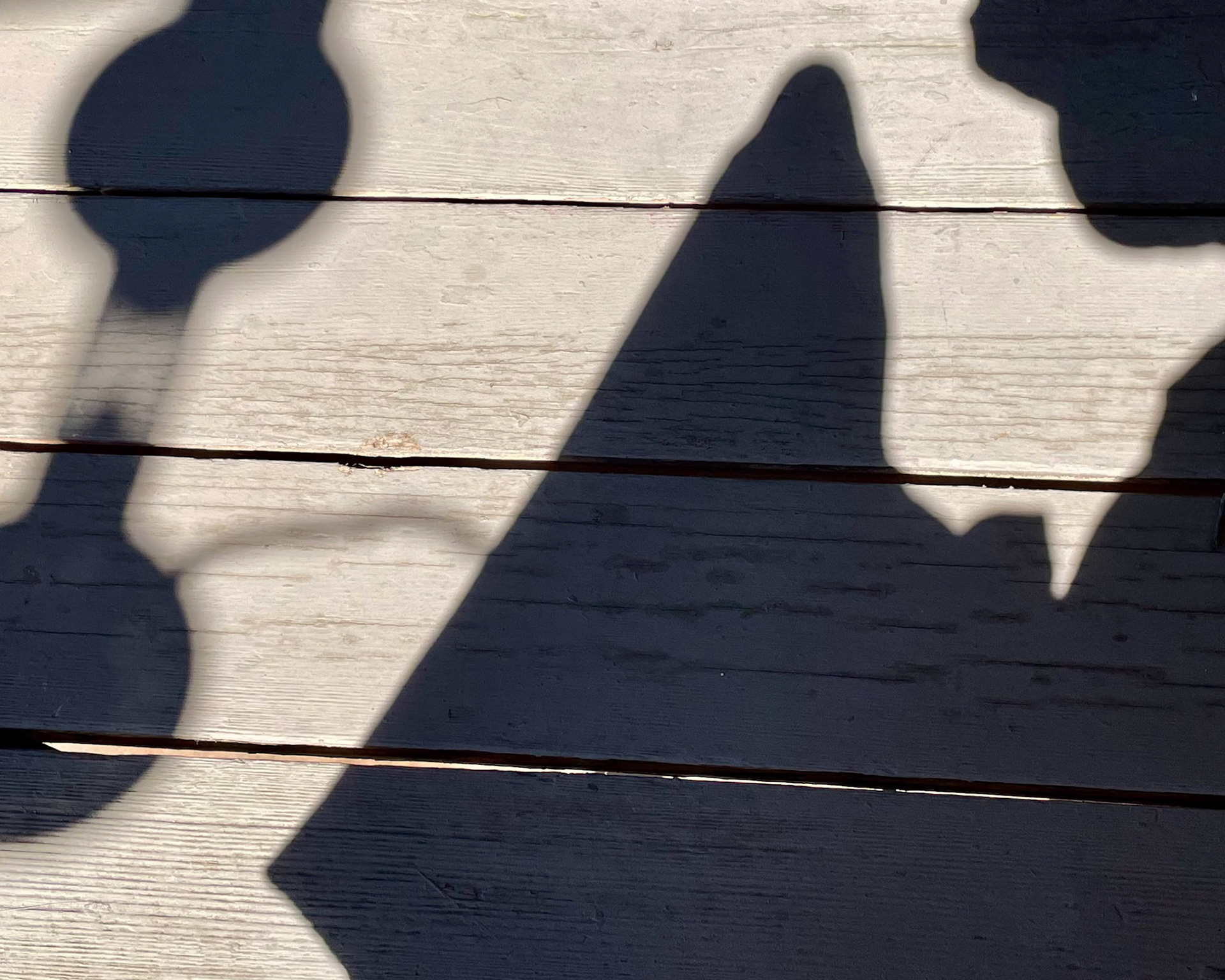 SWING LOW—Softly, Swiftly She Moves through Time